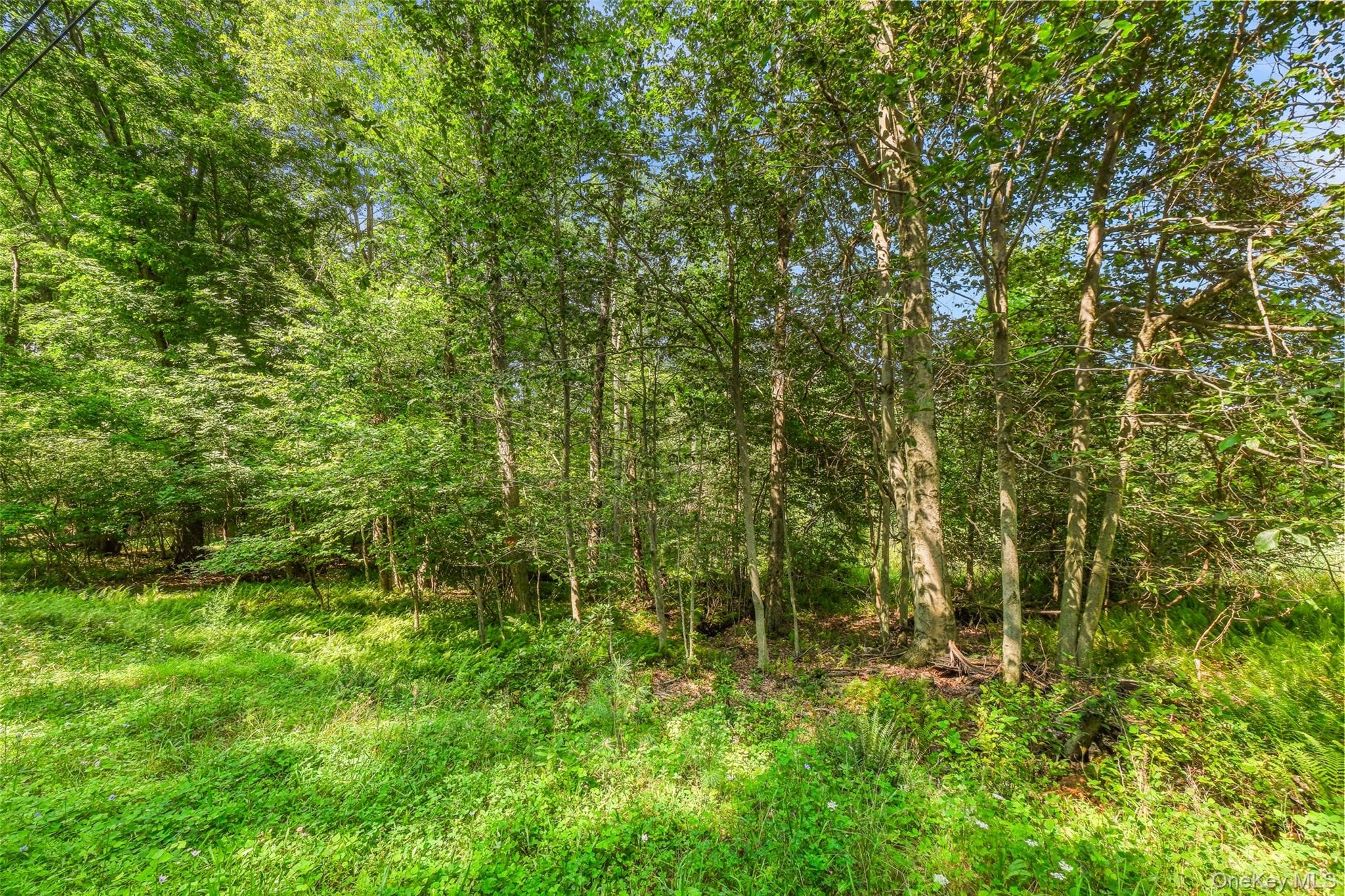Oak Ridge Road thumbnail 18