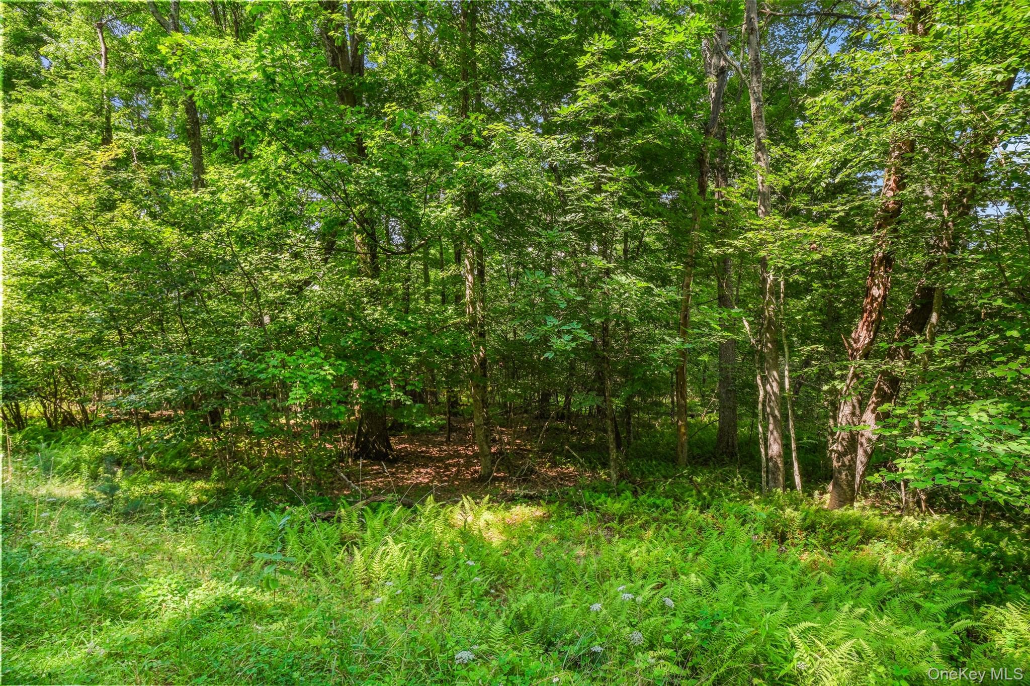 Oak Ridge Road thumbnail 20