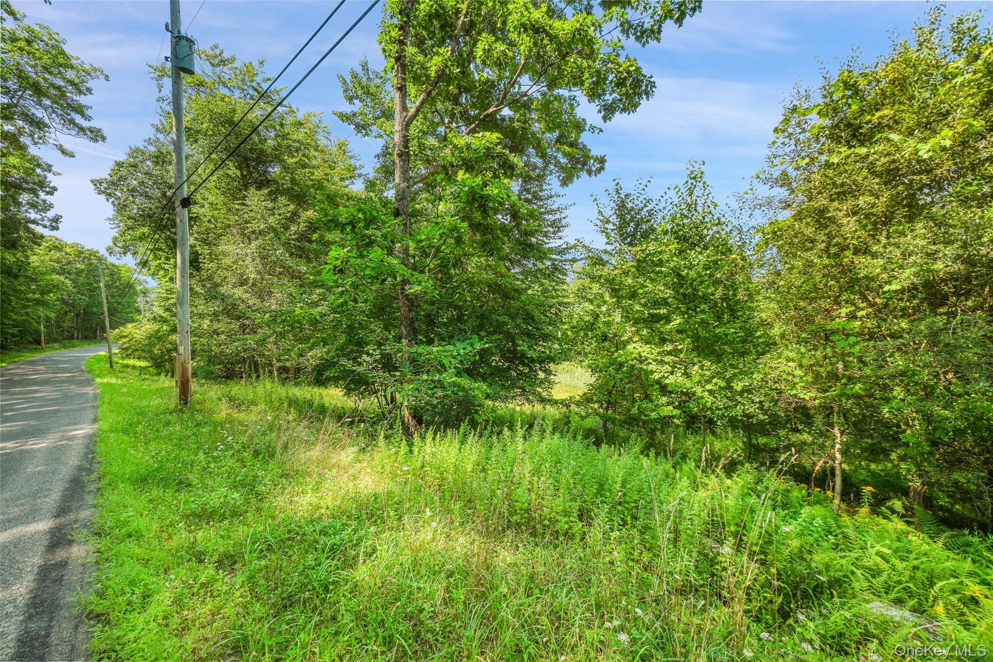 Oak Ridge Road thumbnail 23