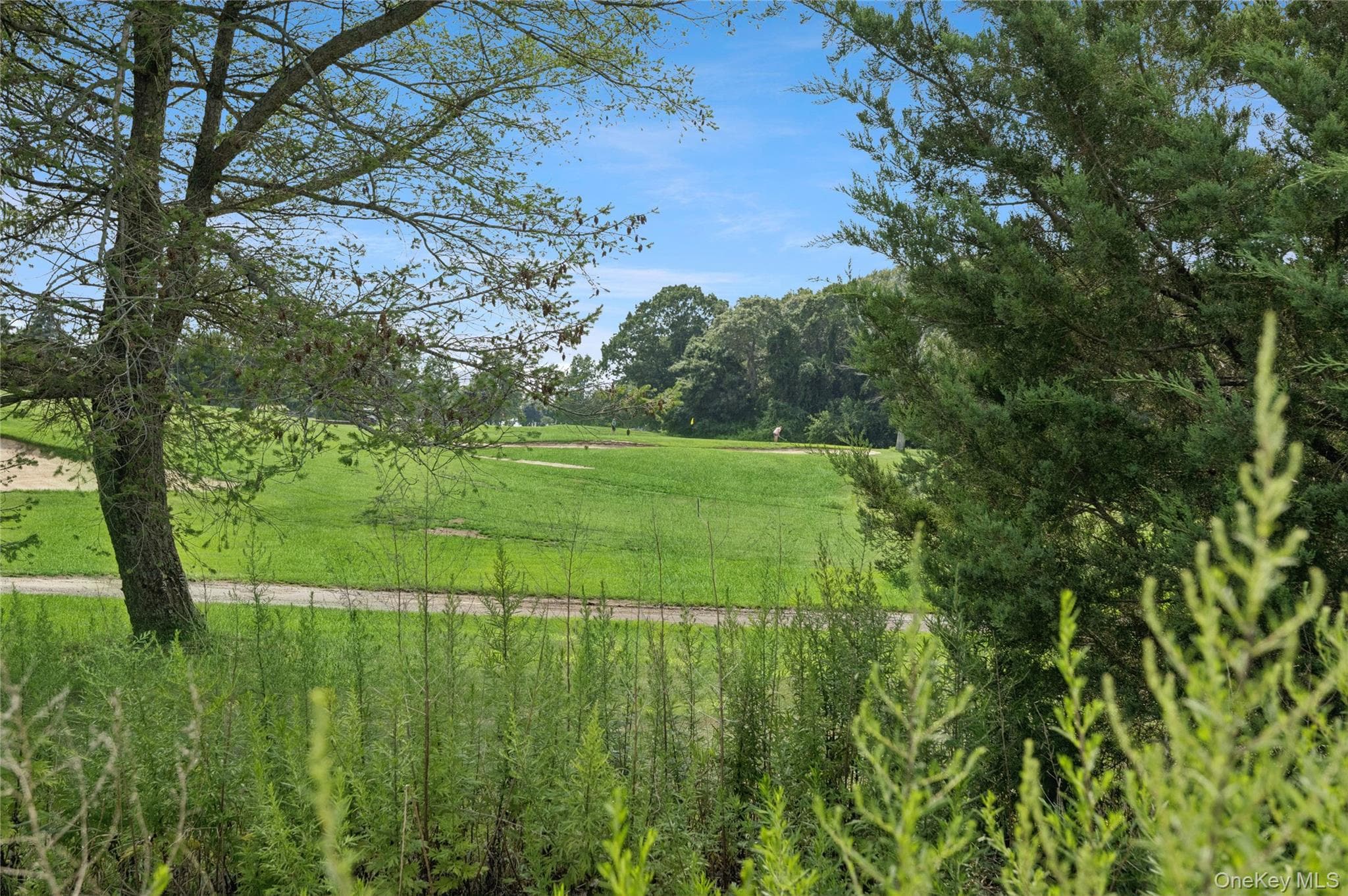 537 Hartmanns Farm Road thumbnail 32