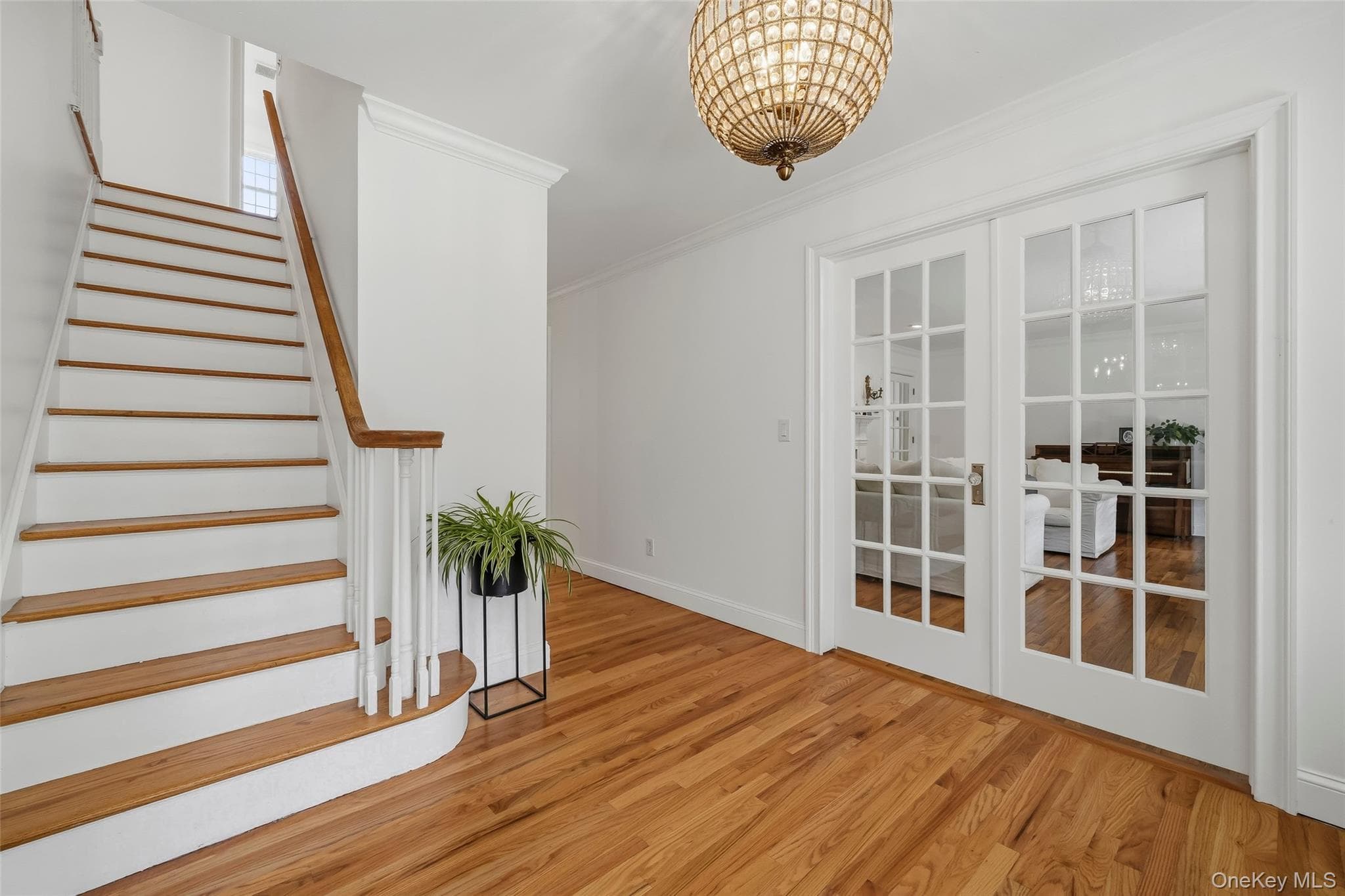 36 Rockford Drive thumbnail 5