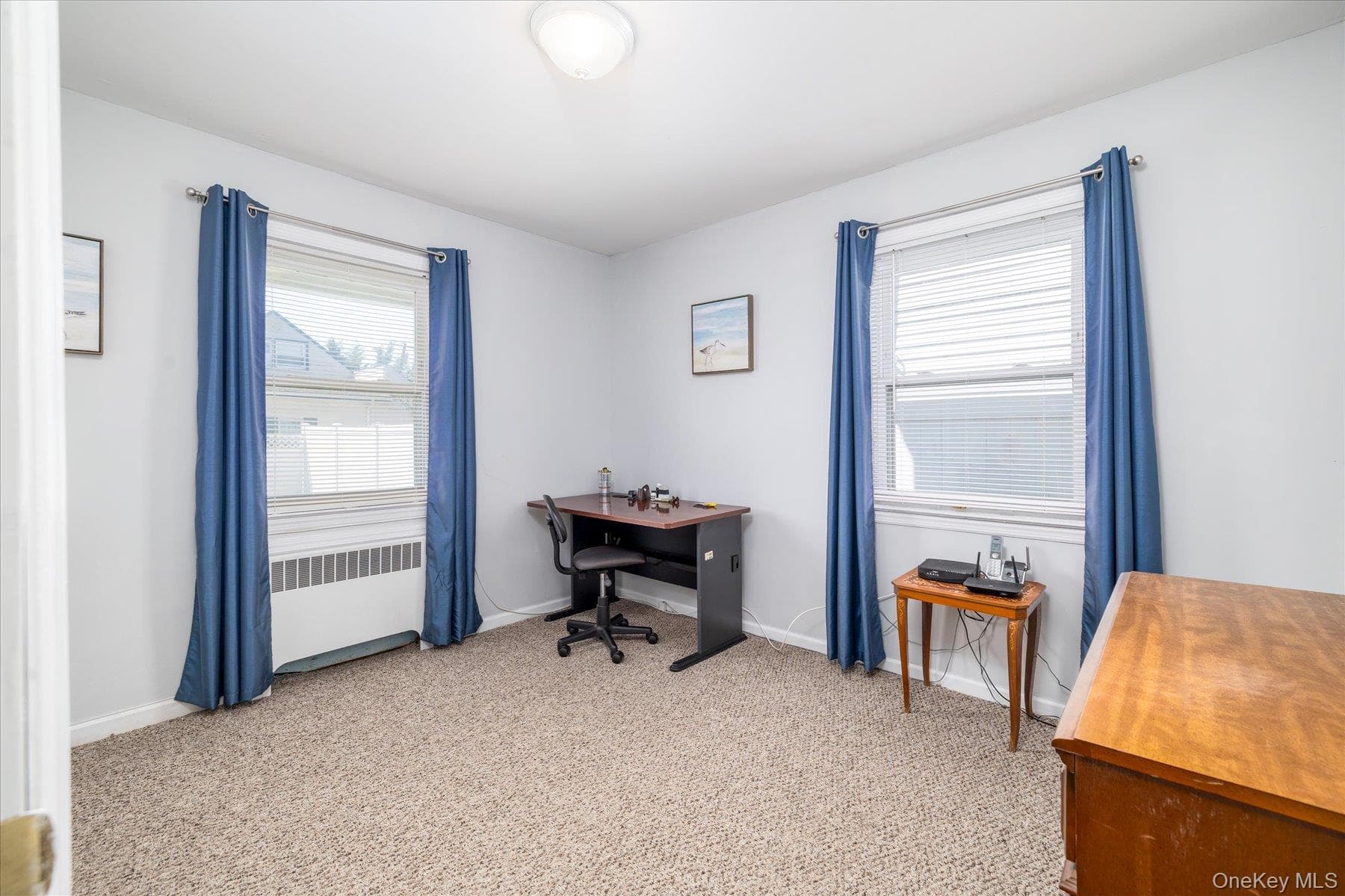 265 W Windsor Parkway thumbnail 19