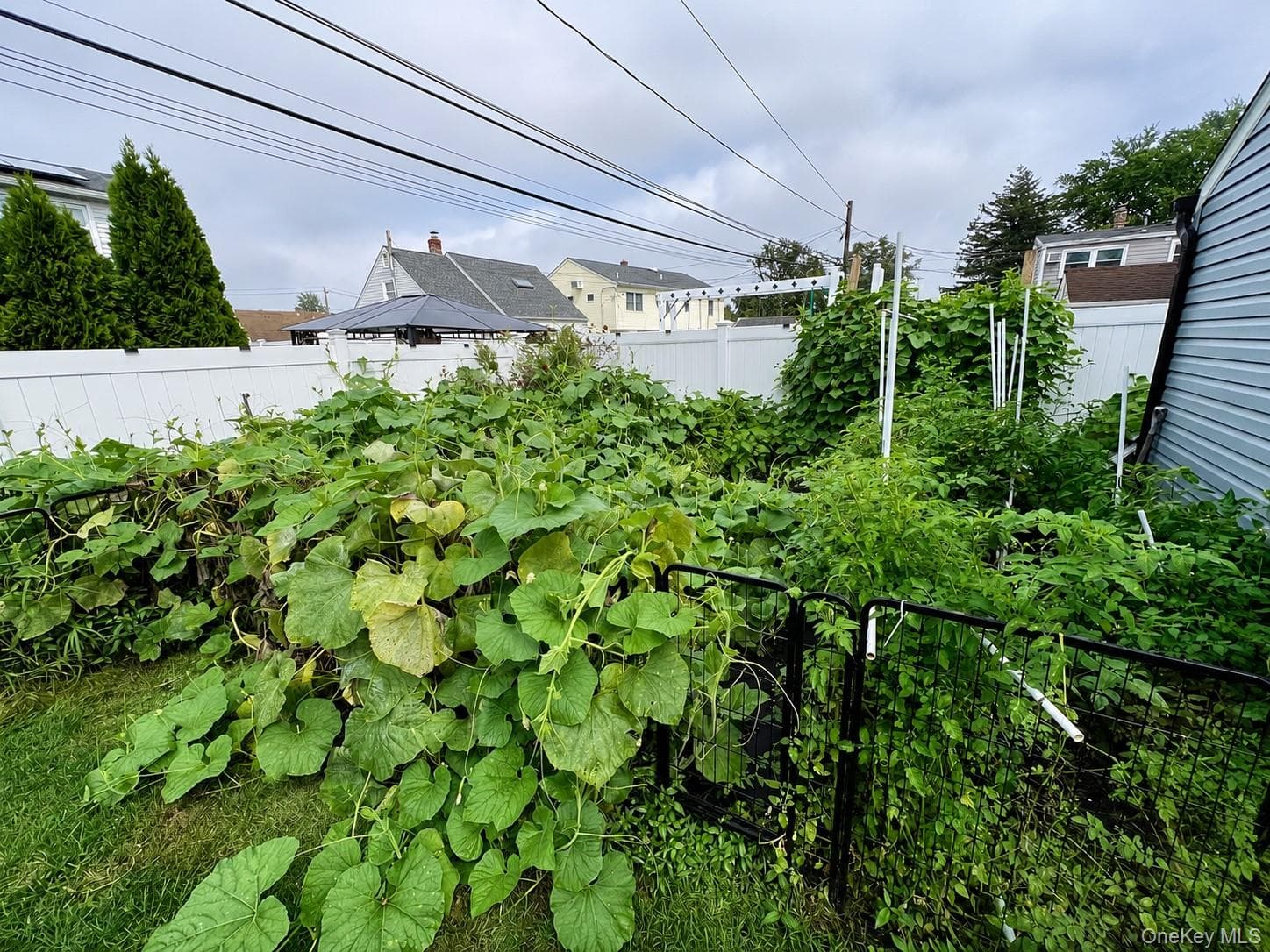 107 Azalea Road thumbnail 16