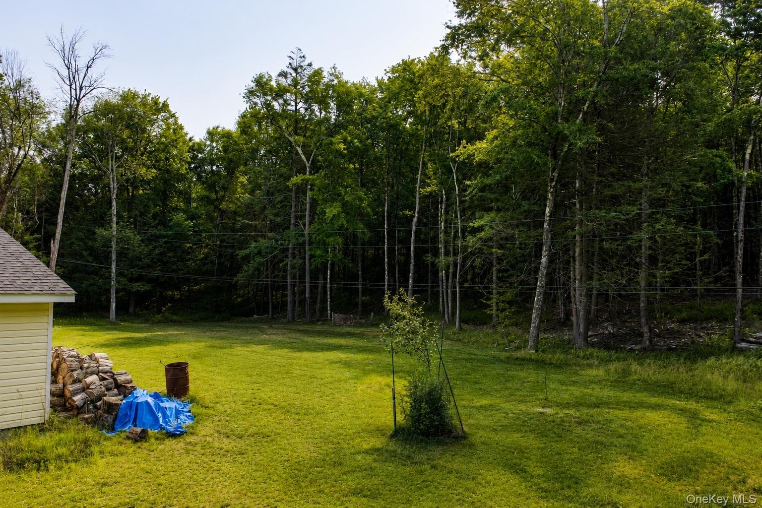 463 Rose Valley Road thumbnail 32