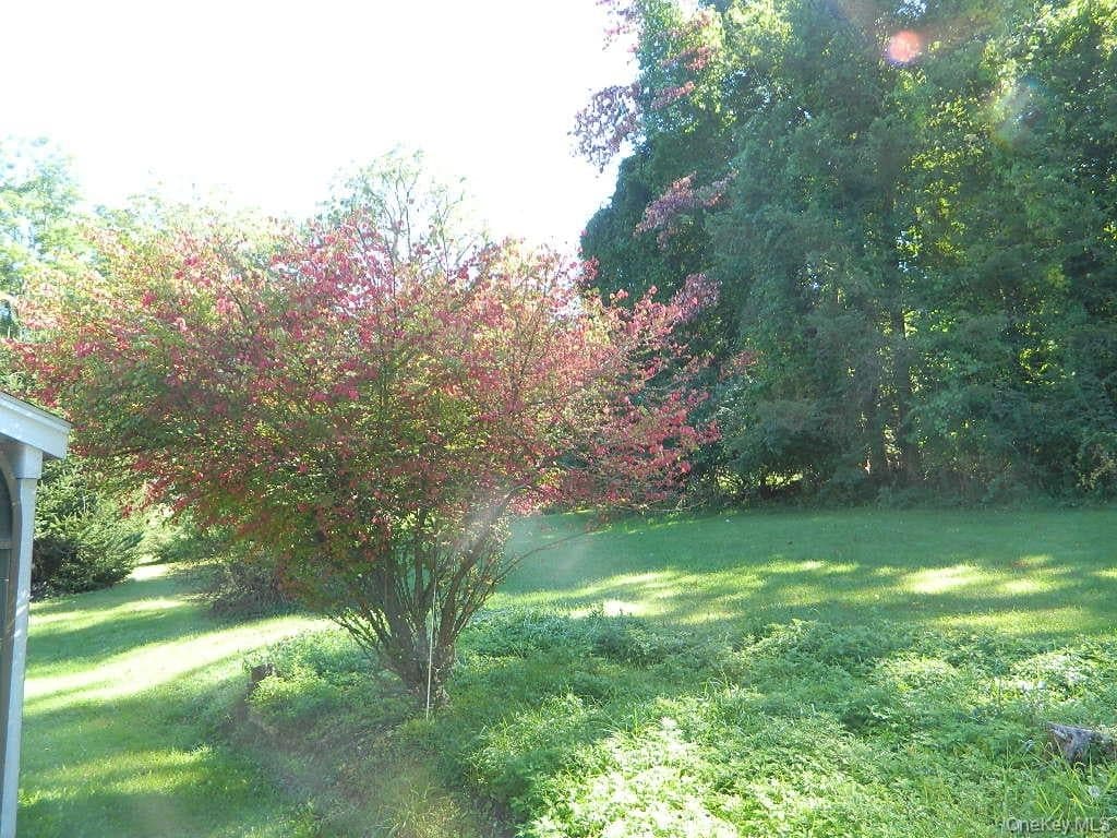 107 Orchard Lane thumbnail 37