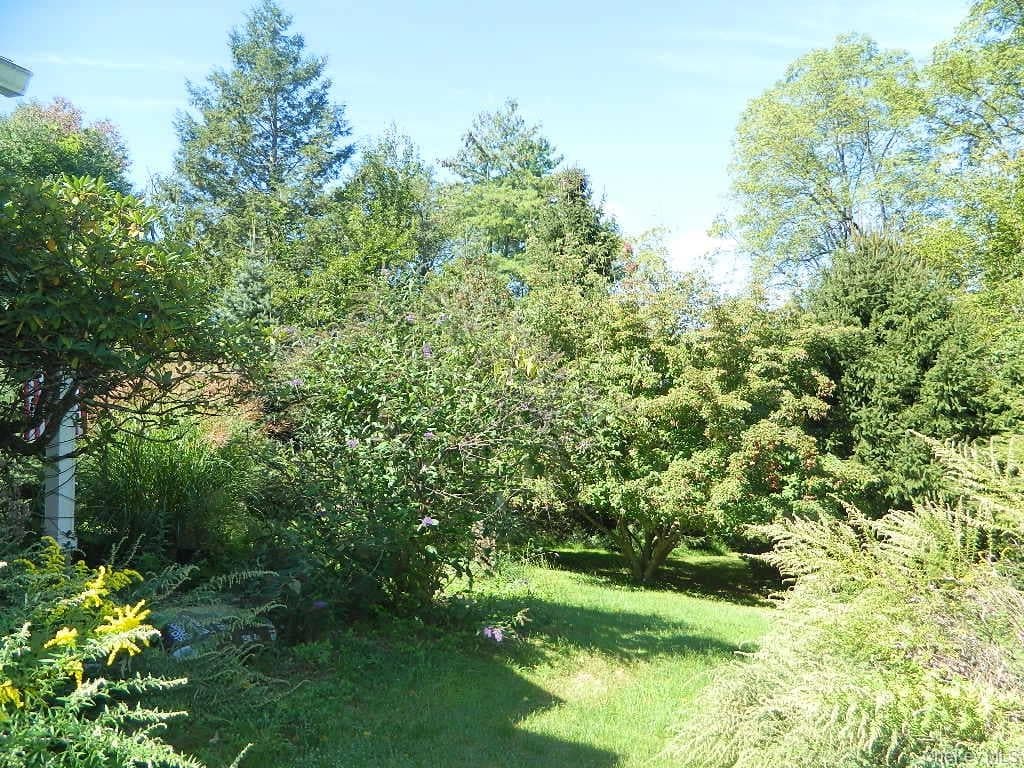 107 Orchard Lane thumbnail 31