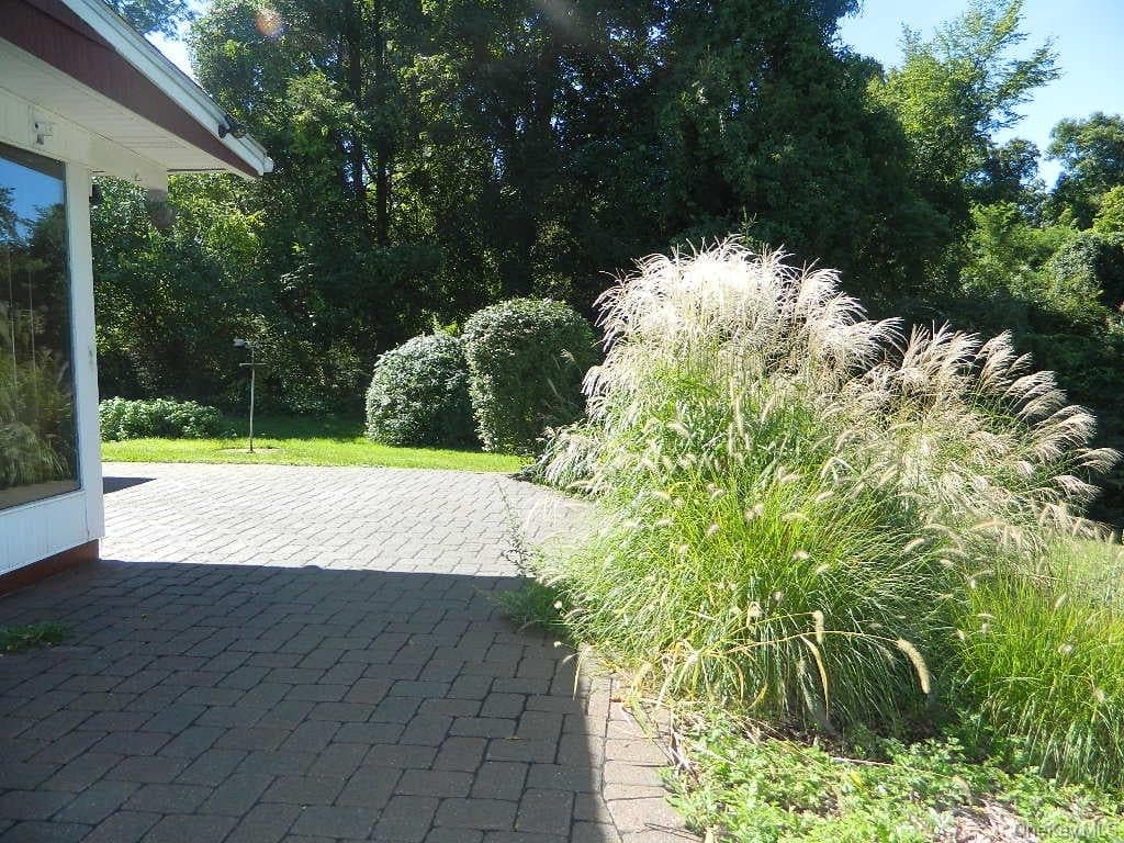 107 Orchard Lane thumbnail 34