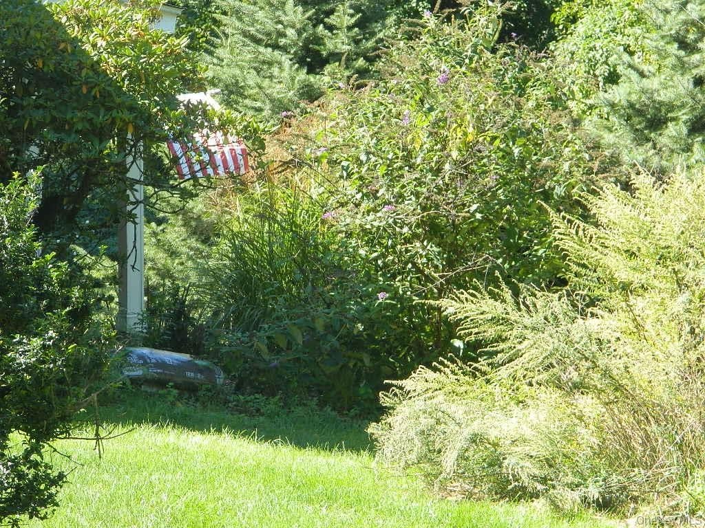 107 Orchard Lane thumbnail 28