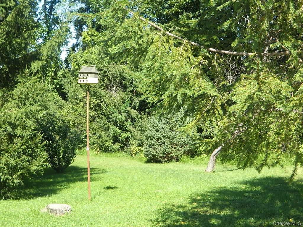 107 Orchard Lane thumbnail 26