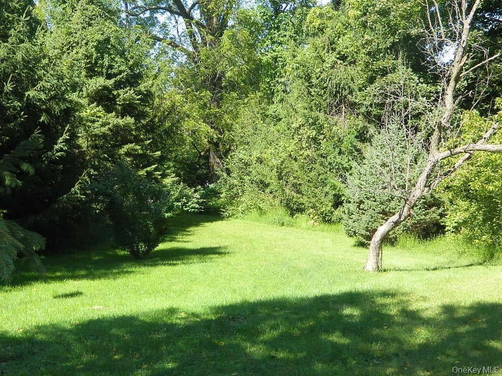 107 Orchard Lane thumbnail 27