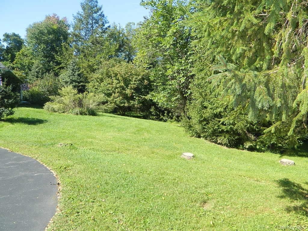 107 Orchard Lane thumbnail 29