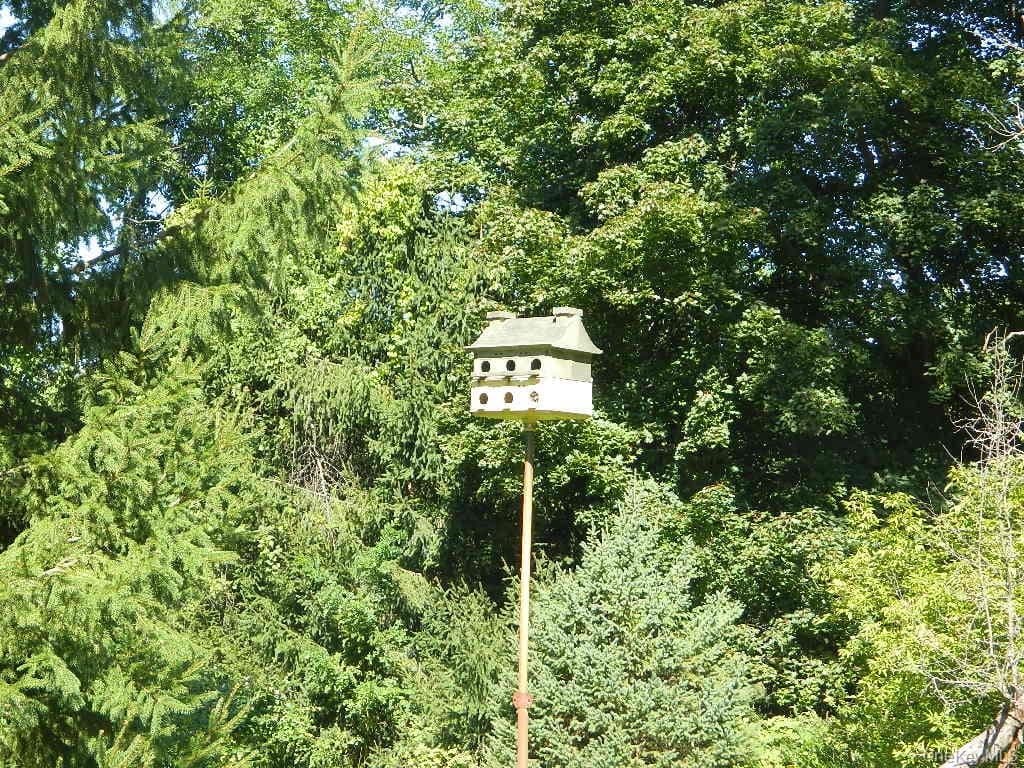 107 Orchard Lane thumbnail 30