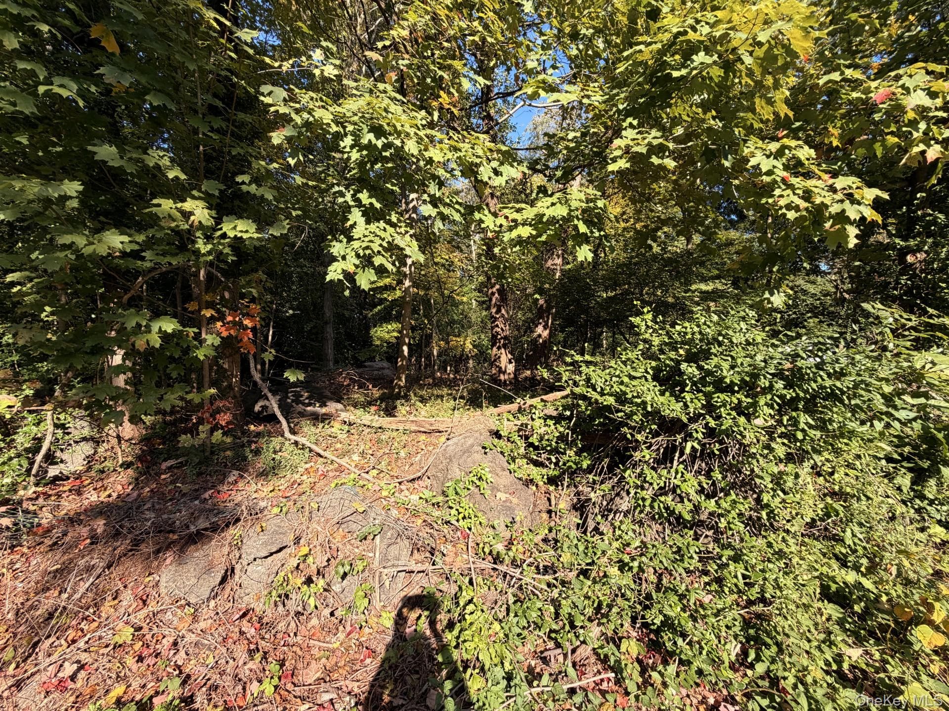 Glen Eagles Drive thumbnail 5