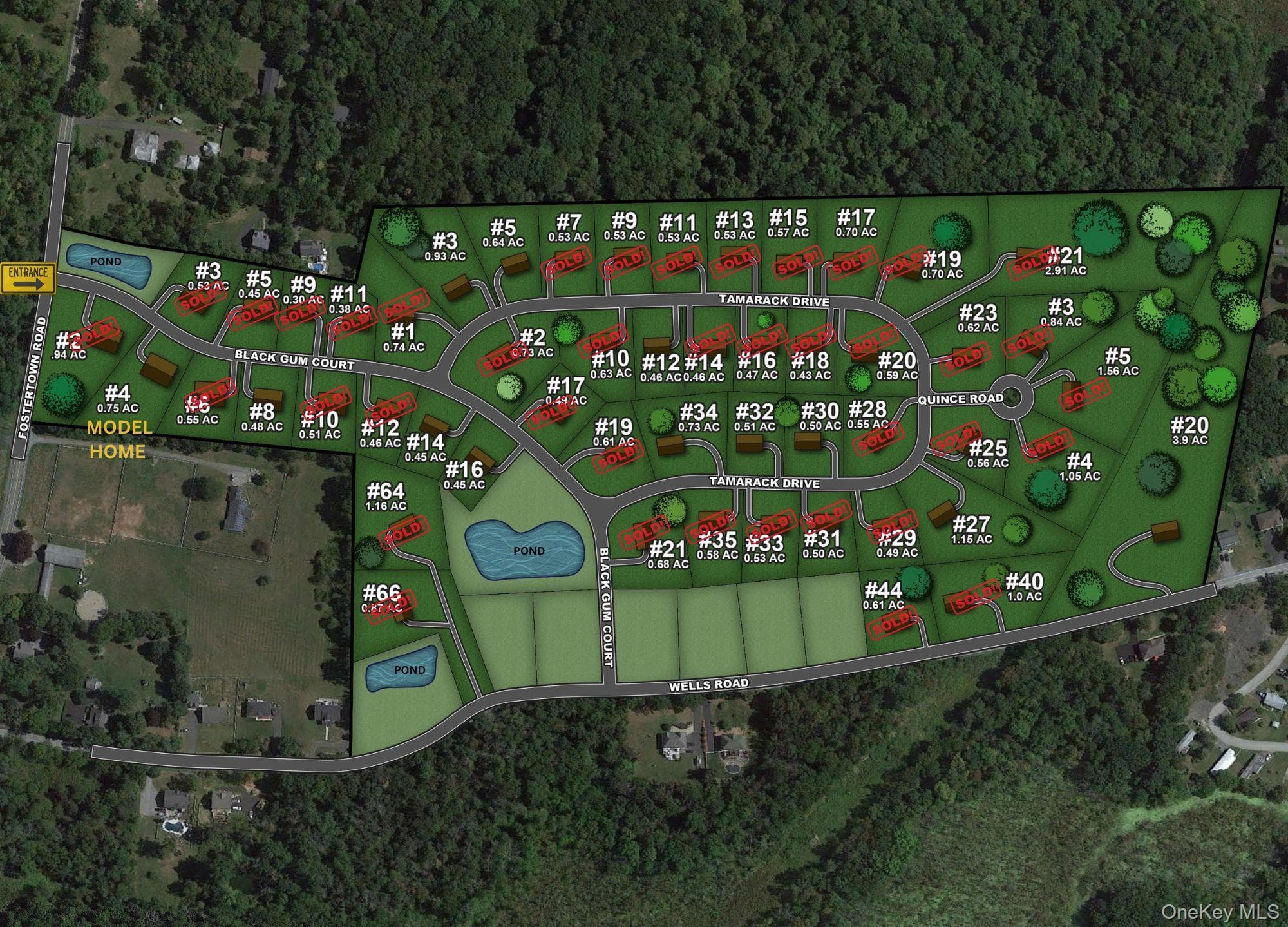 34 Tamarack Drive thumbnail 3