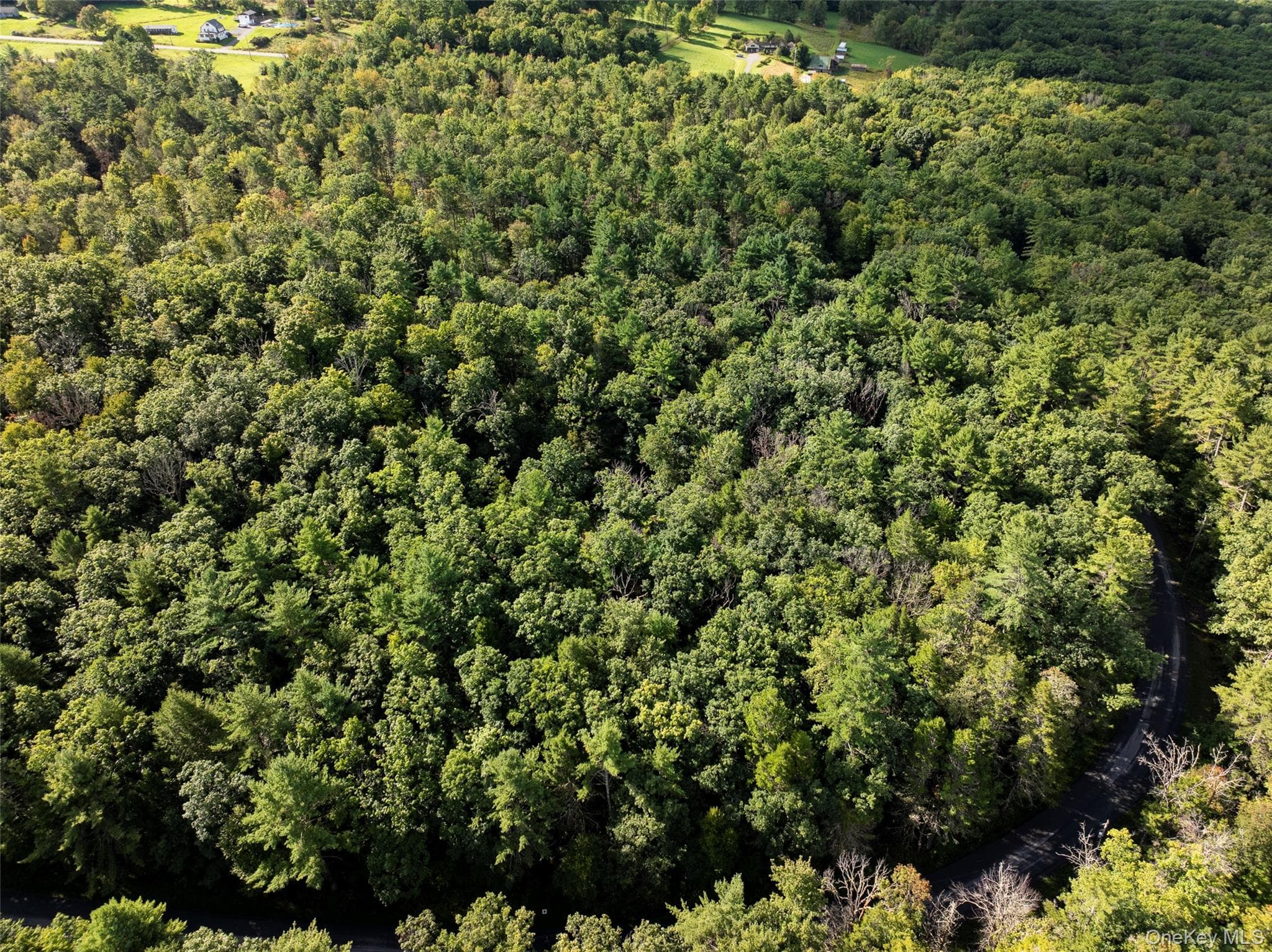 83 Perry Pond Road thumbnail 14