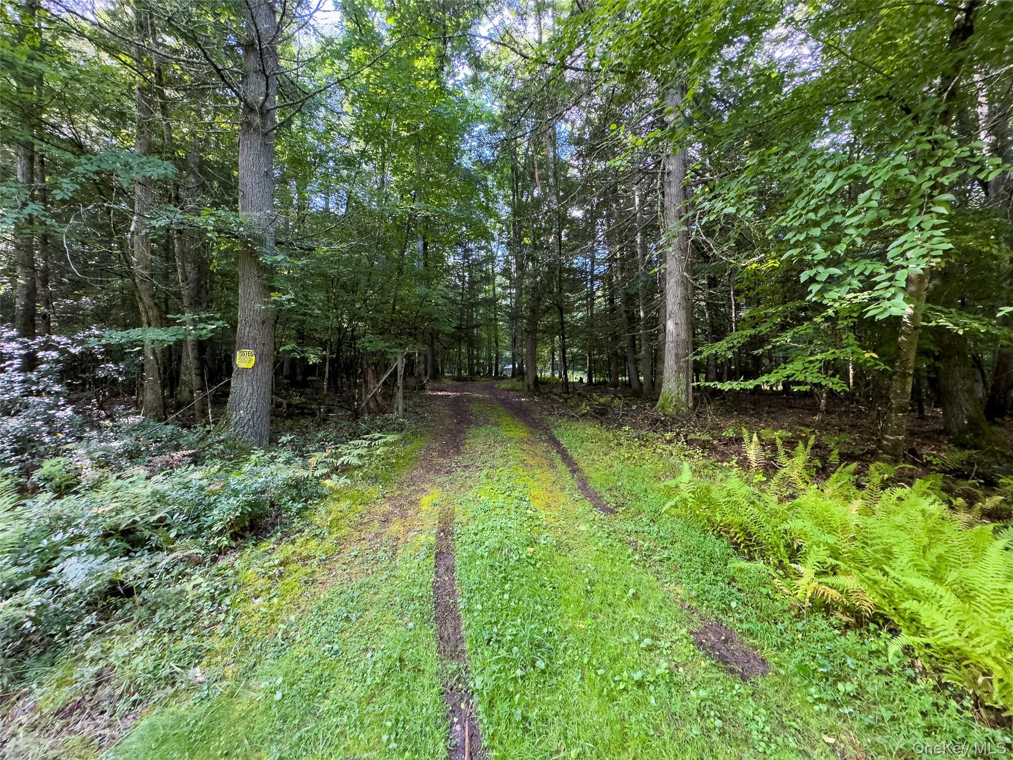 83 Perry Pond Road thumbnail 3