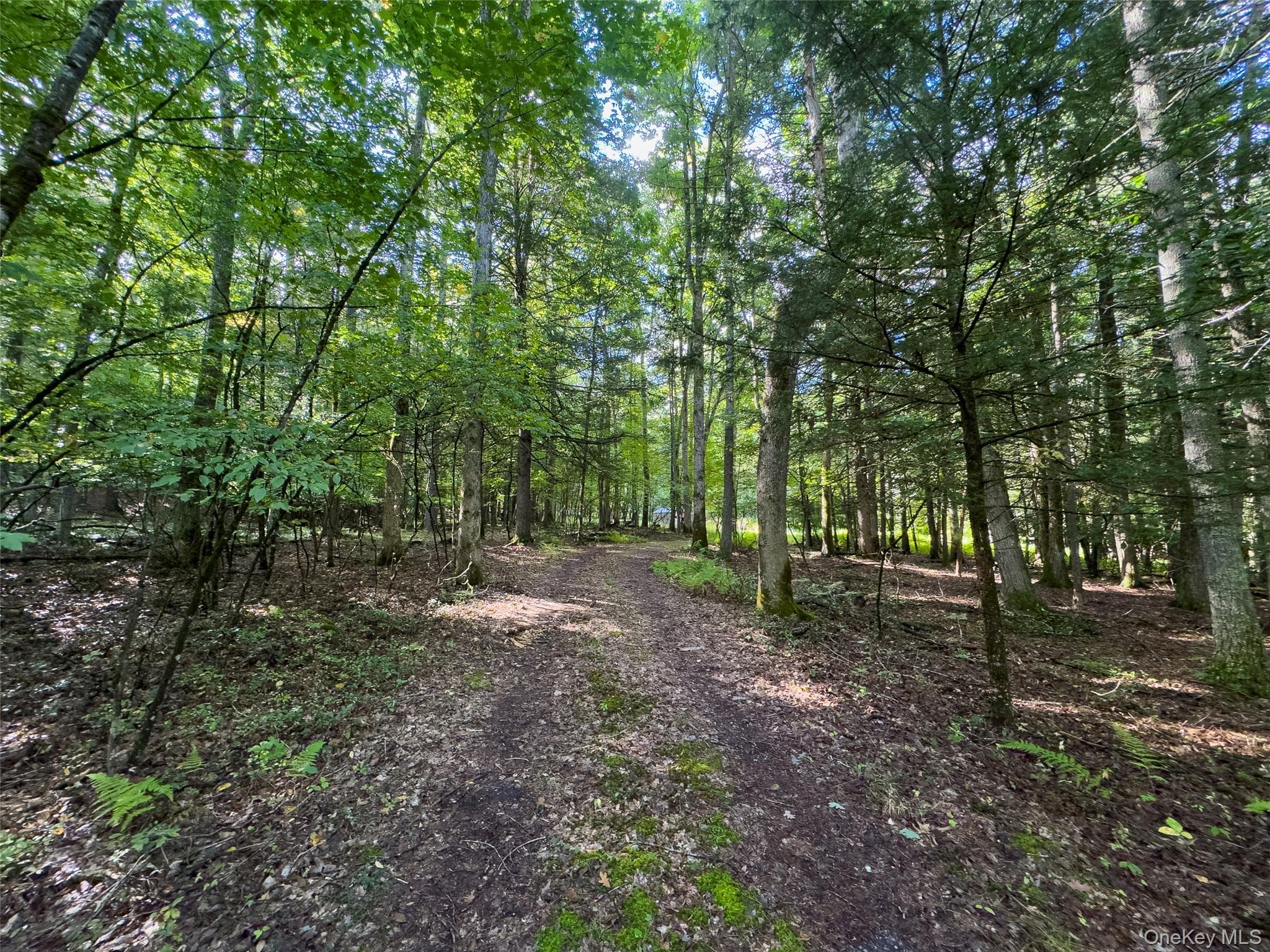 83 Perry Pond Road thumbnail 4