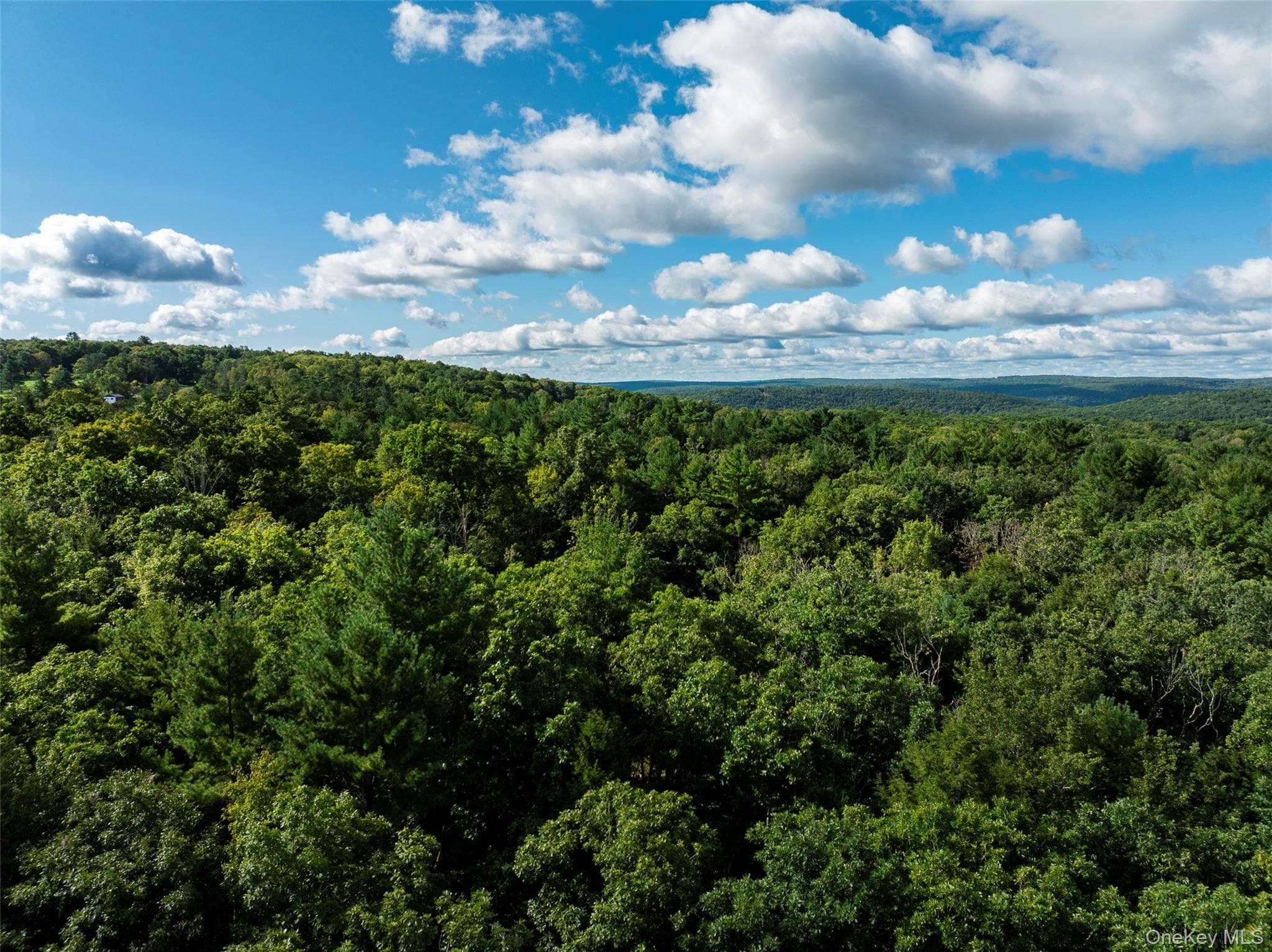 83 Perry Pond Road thumbnail 12