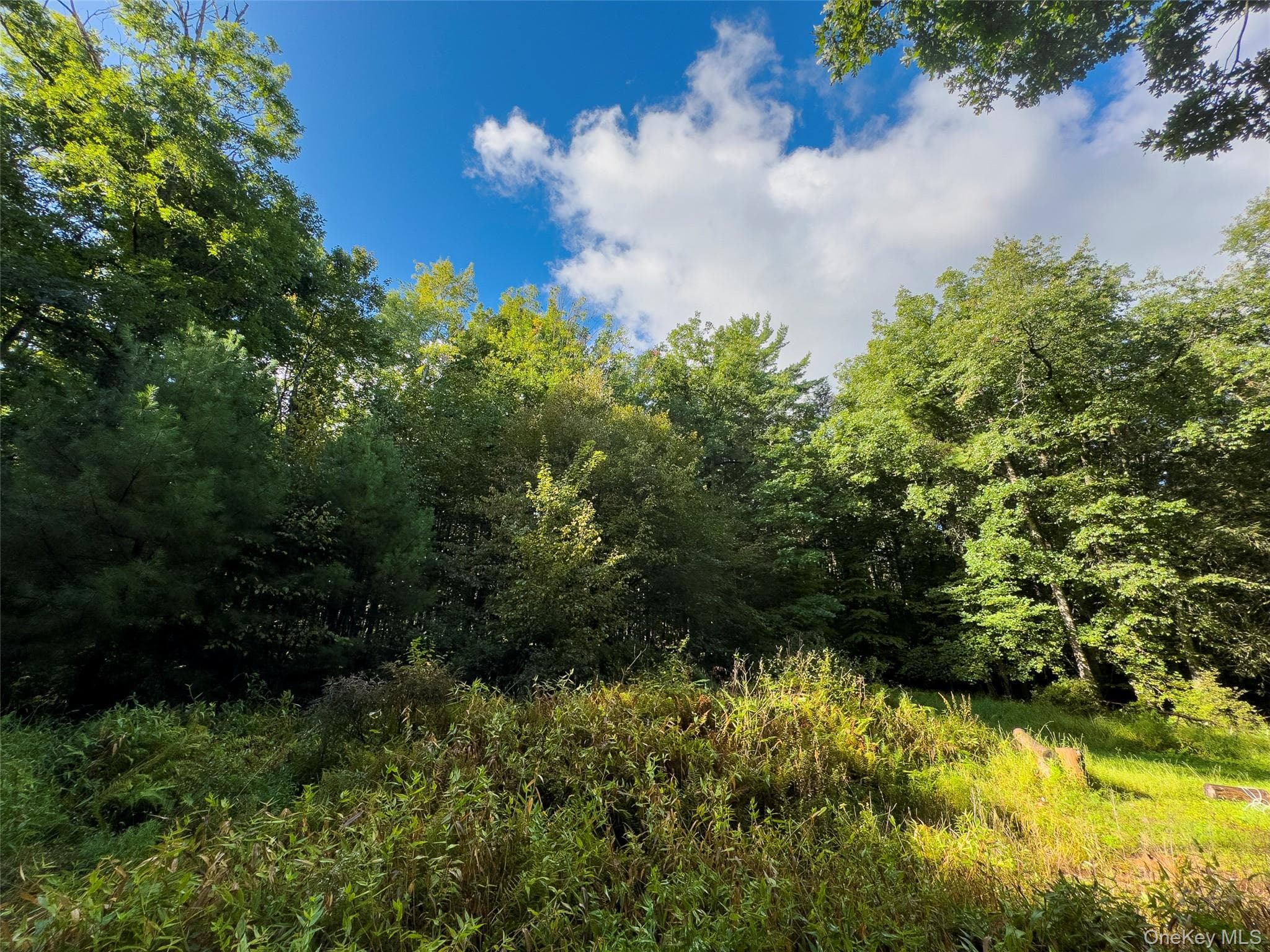 83 Perry Pond Road thumbnail 7