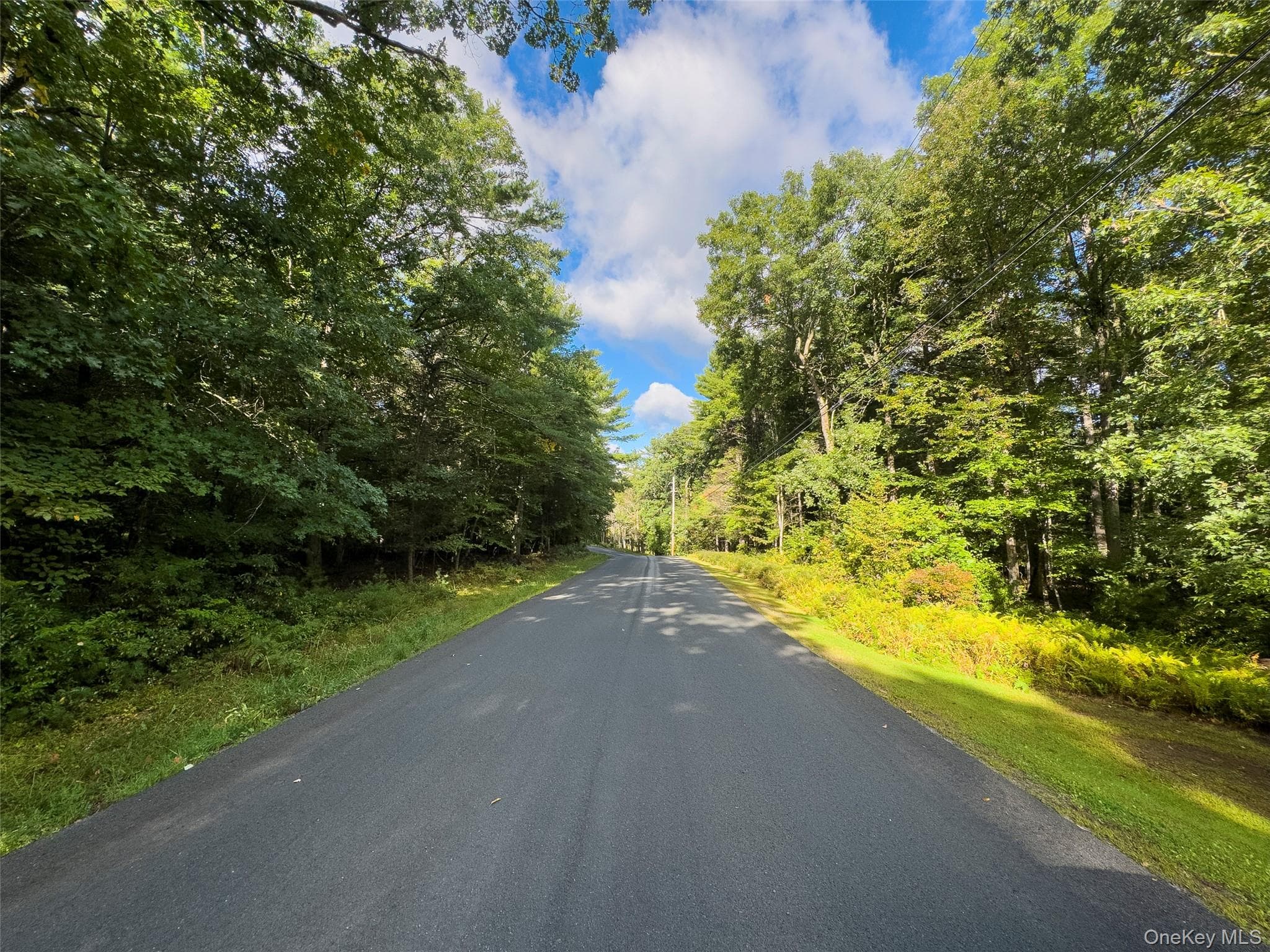 83 Perry Pond Road thumbnail 9