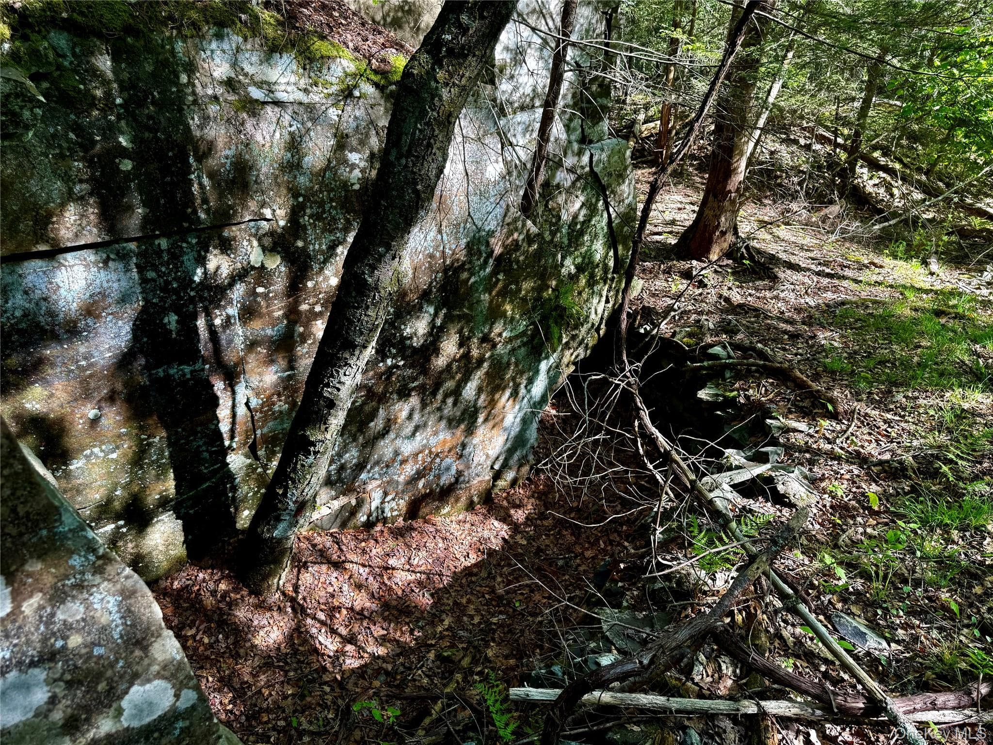 101 Stone Road thumbnail 19