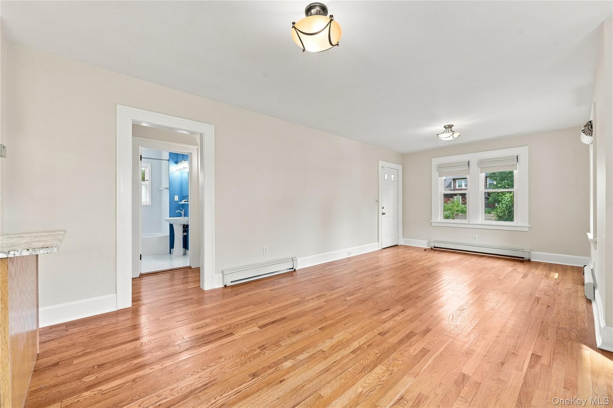56 Washington Avenue thumbnail 9