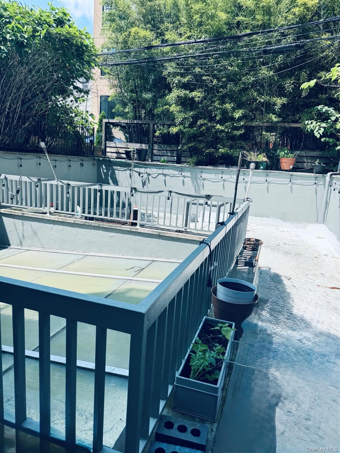 179 Monroe Street Unit: 1A thumbnail 6