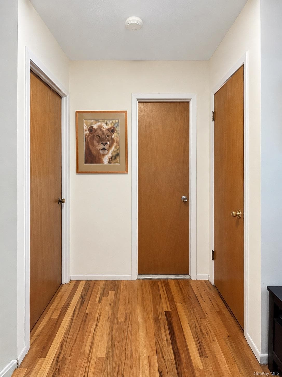 1340 Mac Donough Place thumbnail 32