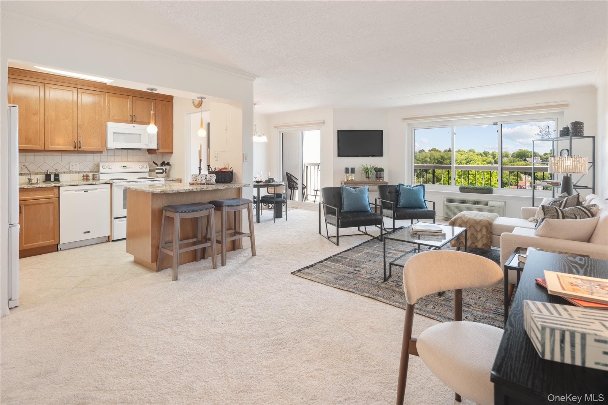 500 High Point Drive Unit: 707 thumbnail 20