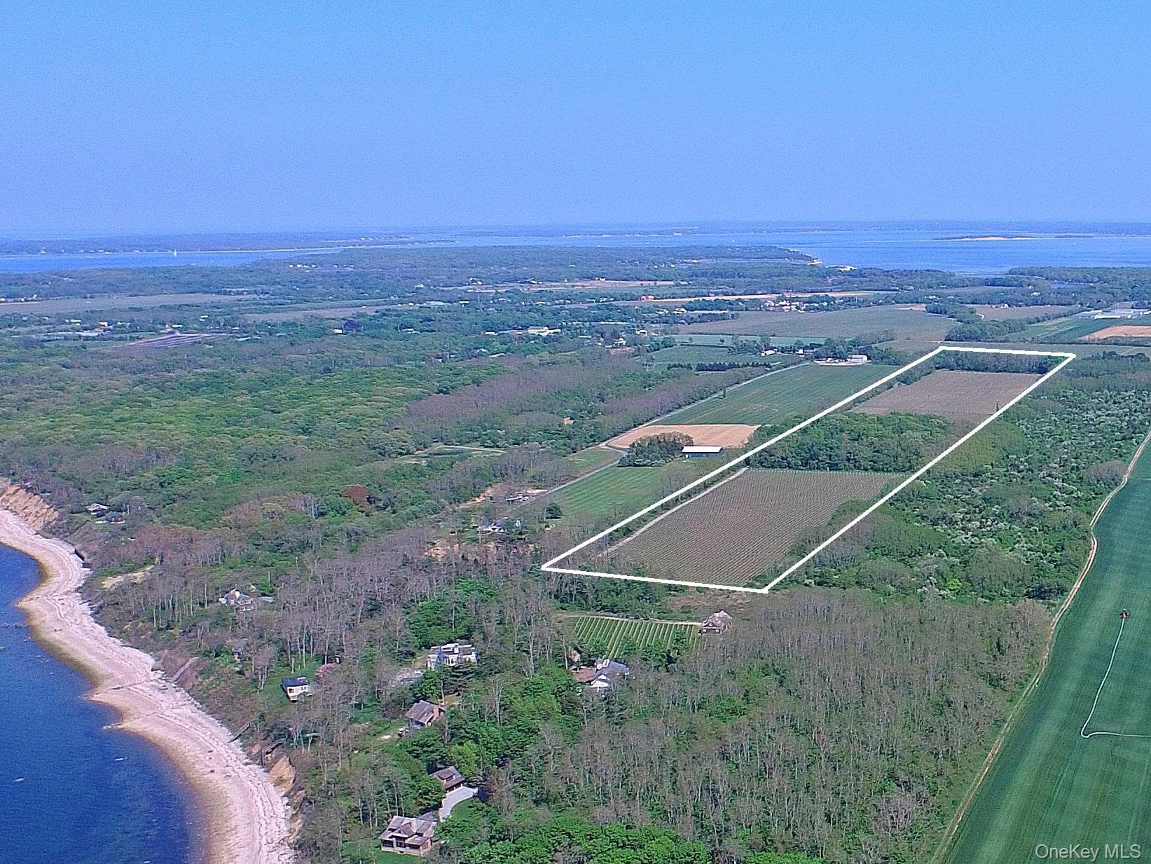 Address Withheld By Request, Peconic