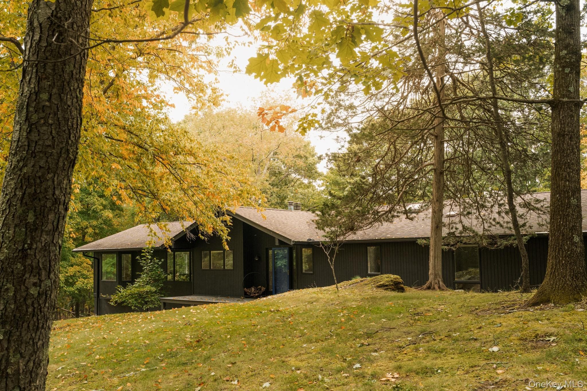 17 Belcher Road thumbnail 42