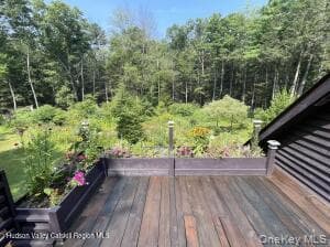 323 Beaverkill Road thumbnail 33