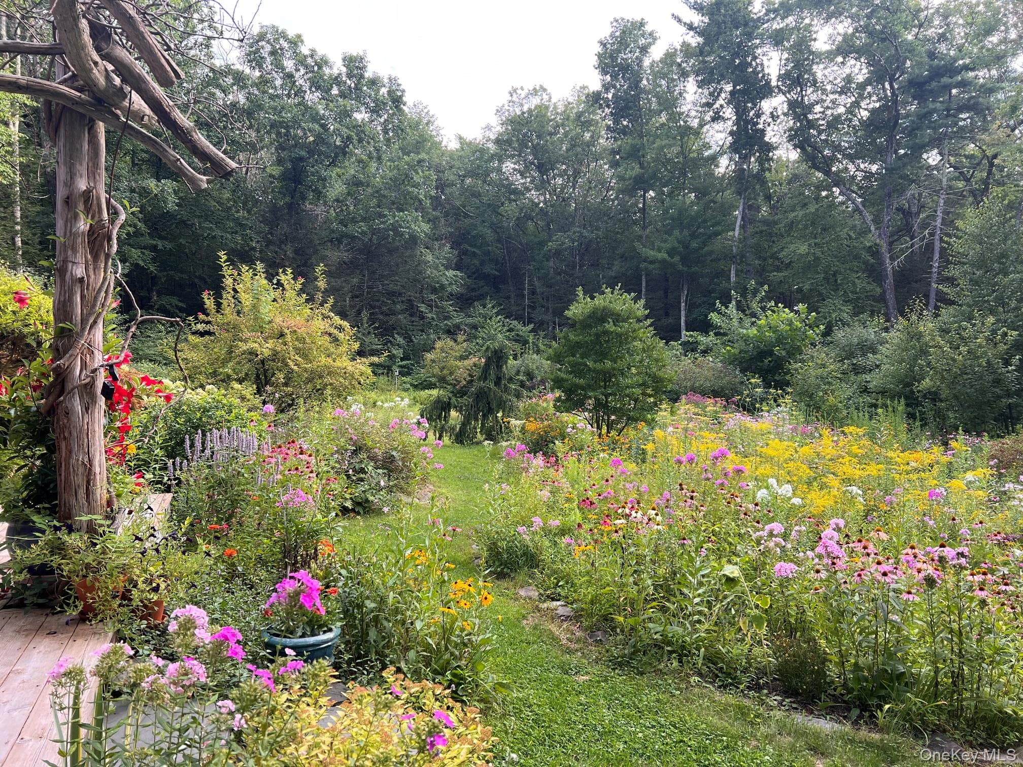 323 Beaverkill Road thumbnail 48