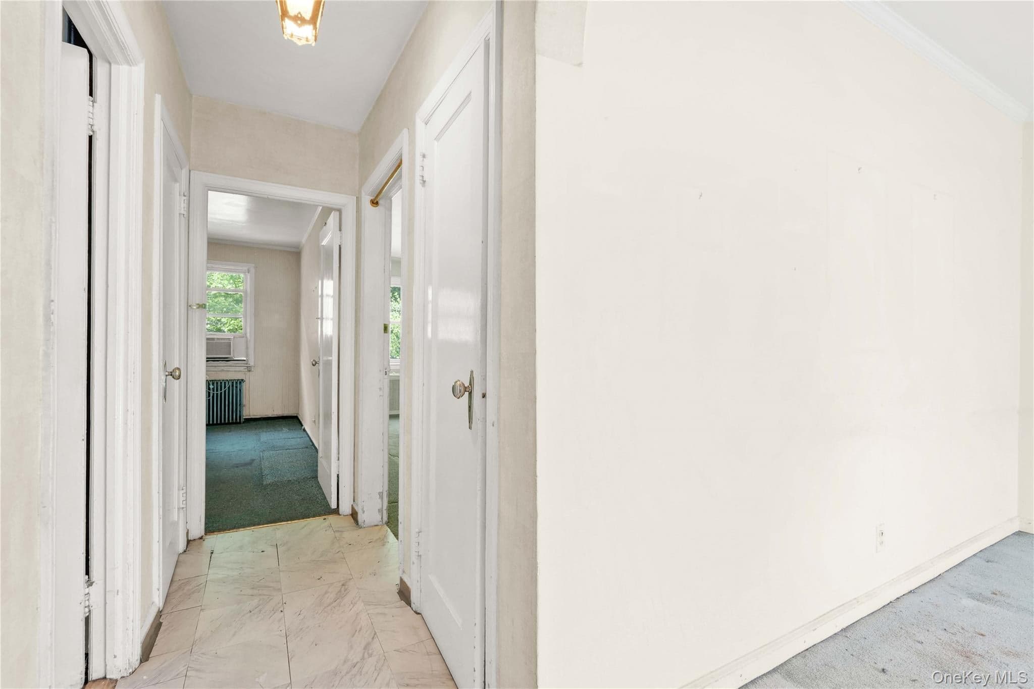 67-10 Selfridge Street thumbnail 20