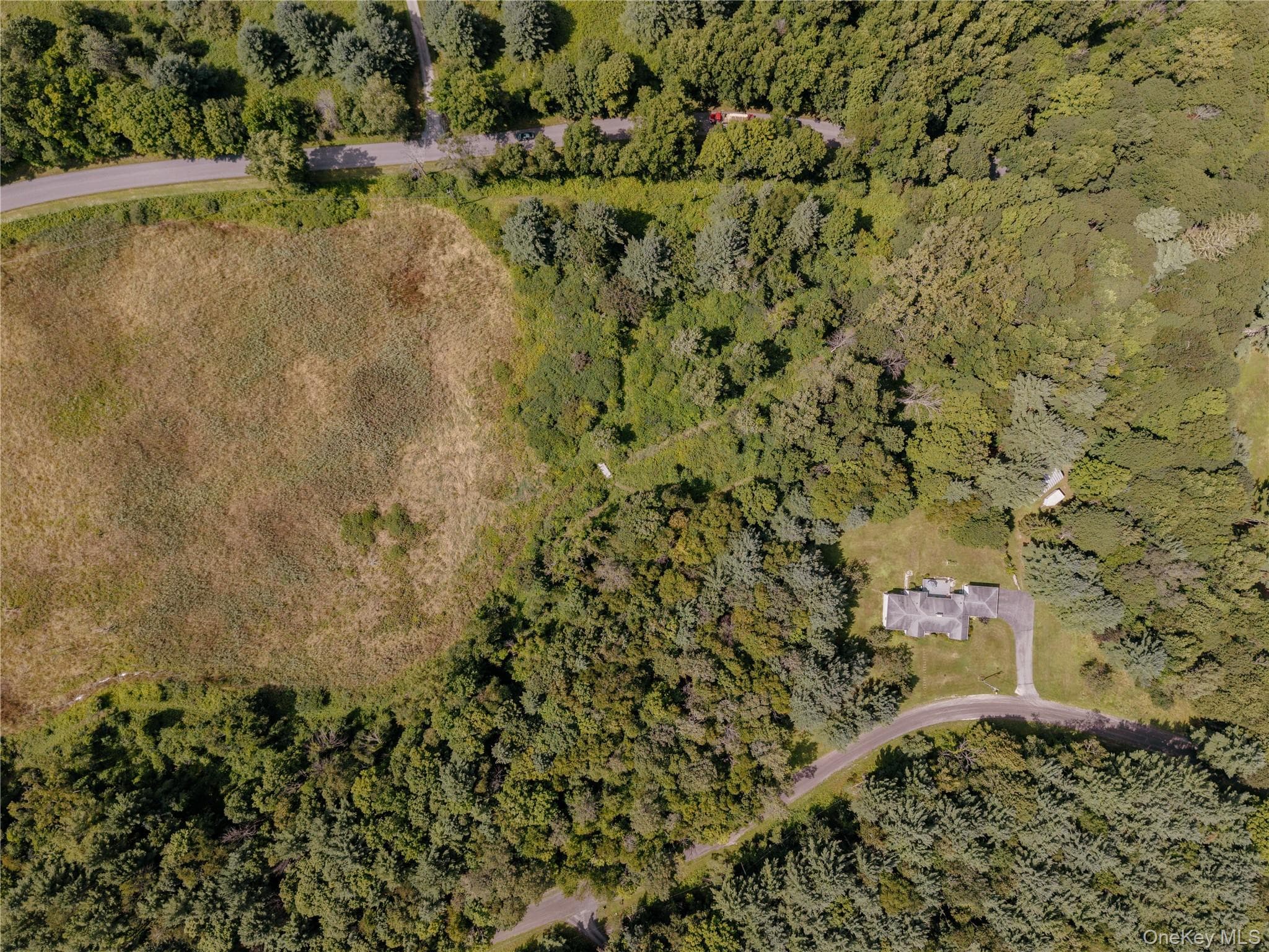 310 Pine Ridge Lane thumbnail 38
