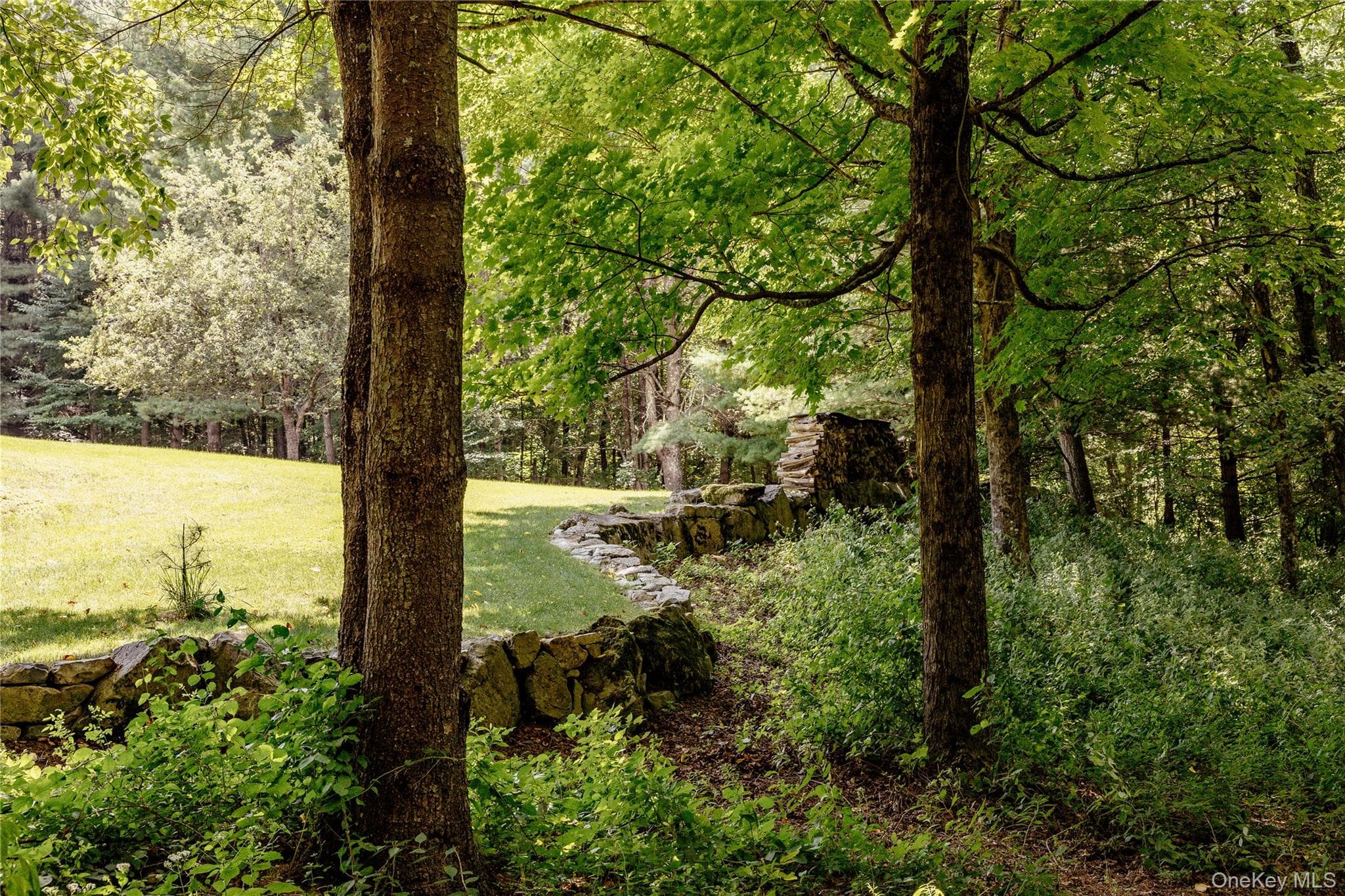 310 Pine Ridge Lane thumbnail 3