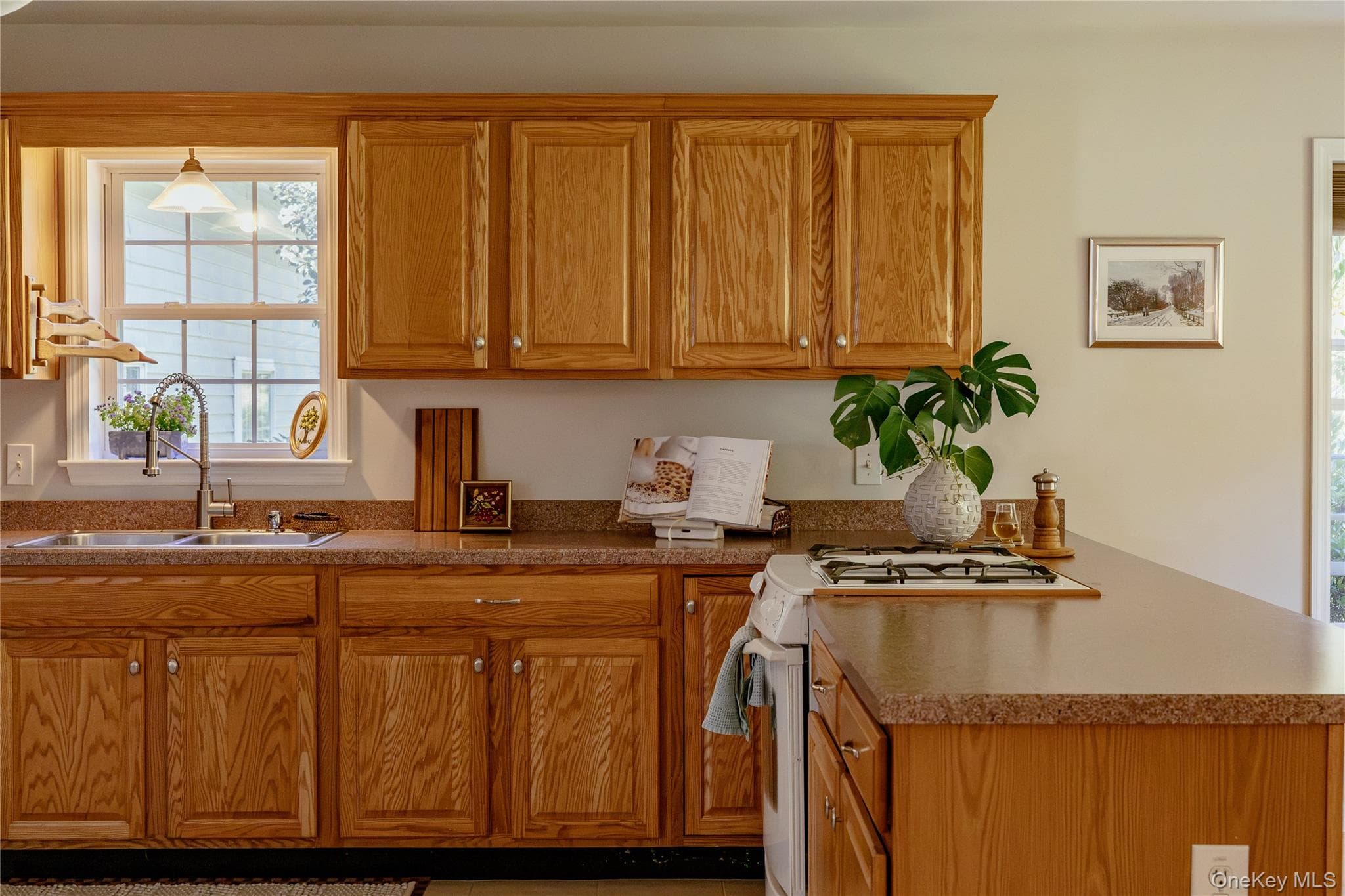 310 Pine Ridge Lane thumbnail 24