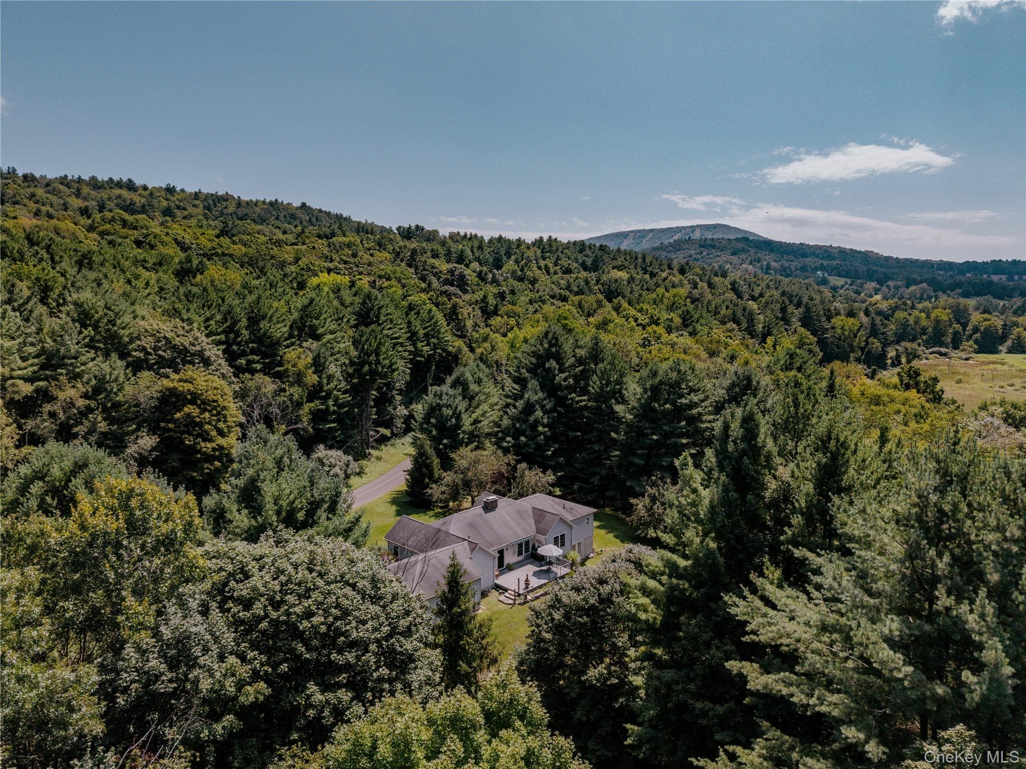 310 Pine Ridge Lane thumbnail 4