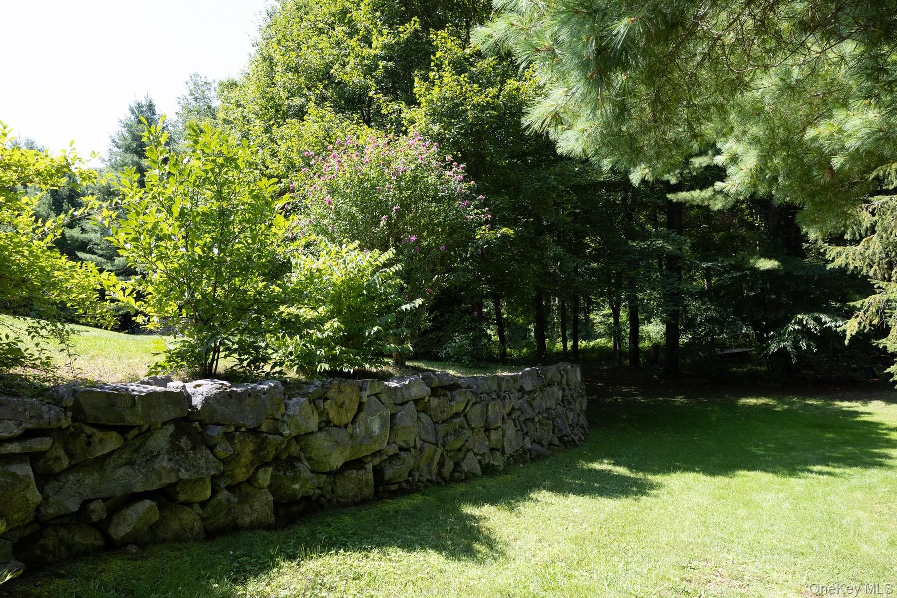 310 Pine Ridge Lane thumbnail 32