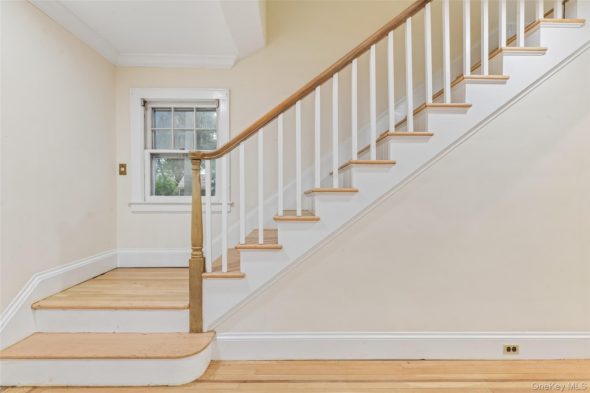204 Auburn Street thumbnail 20