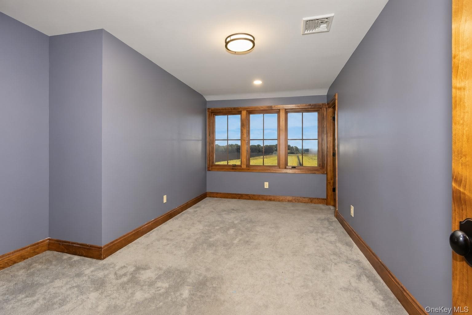 231 Celery Avenue thumbnail 26