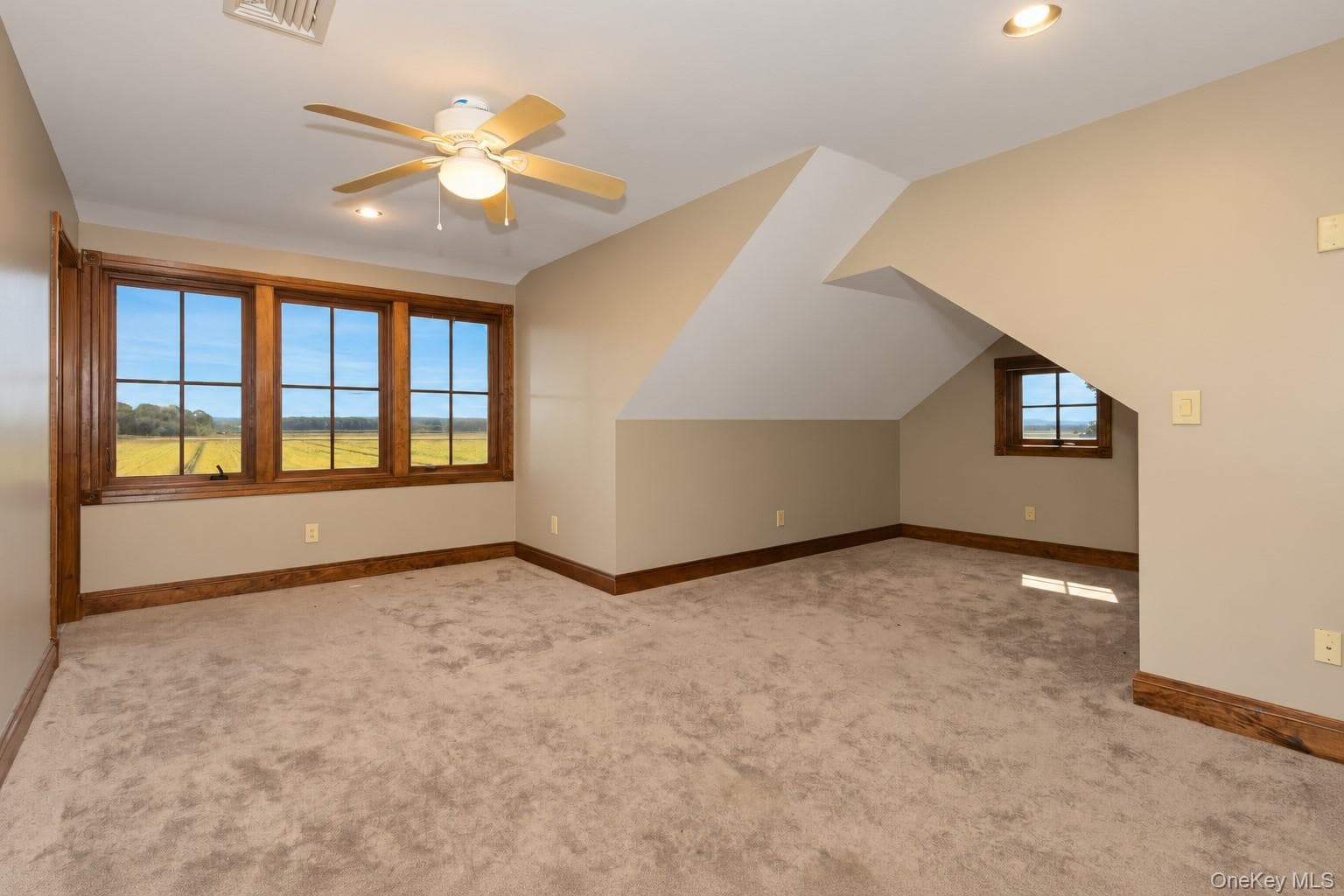 231 Celery Avenue thumbnail 23