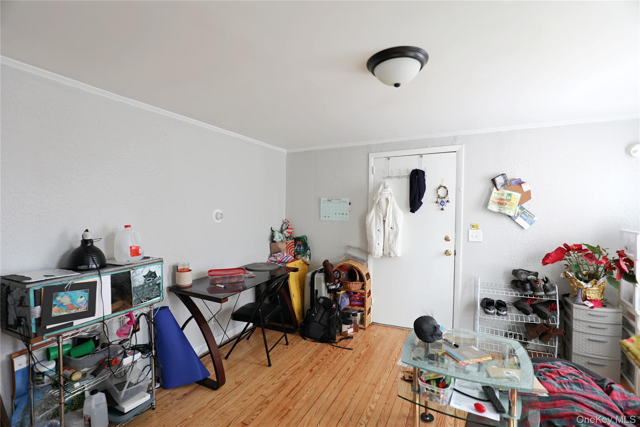 343 Washington Avenue thumbnail 16