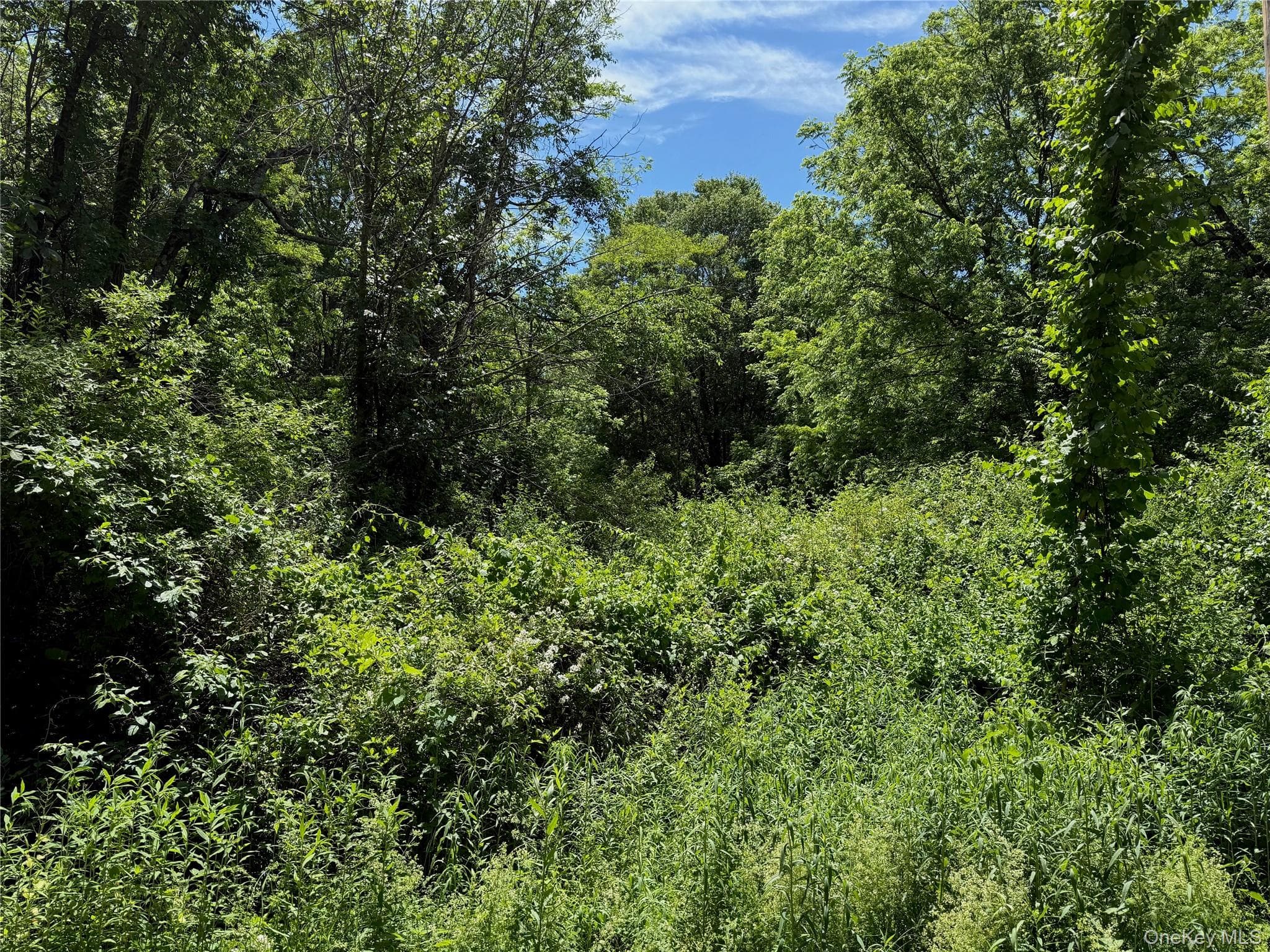 Schoolhouse Road thumbnail 2