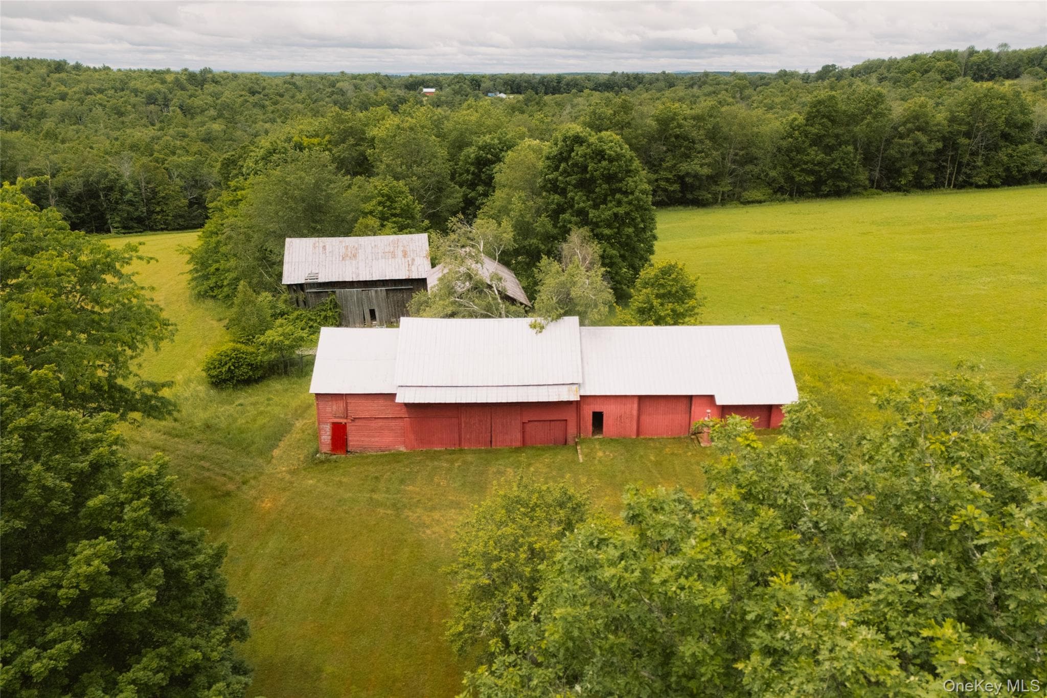 196 County Road 115 thumbnail 47
