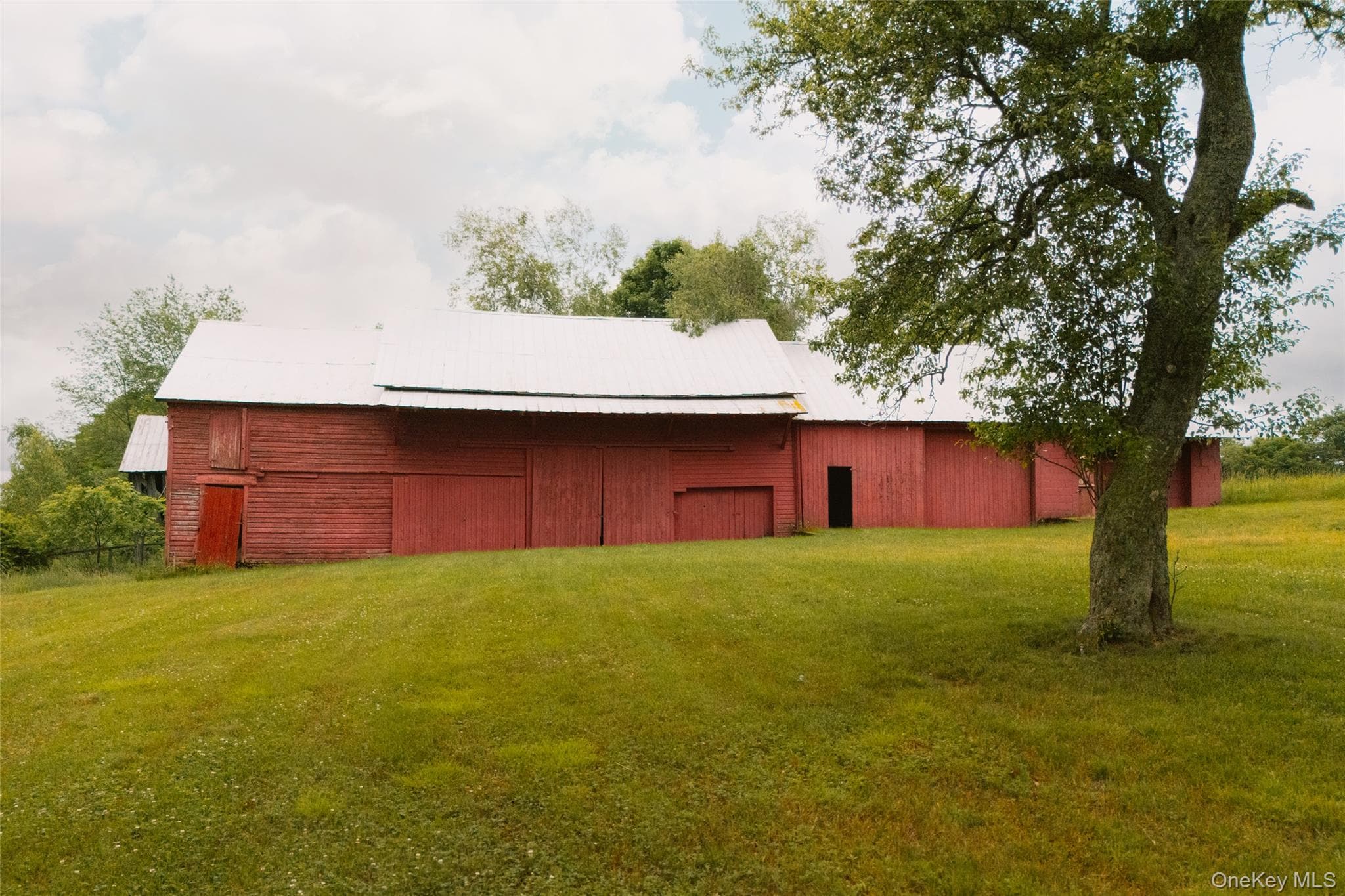 196 County Road 115 thumbnail 46