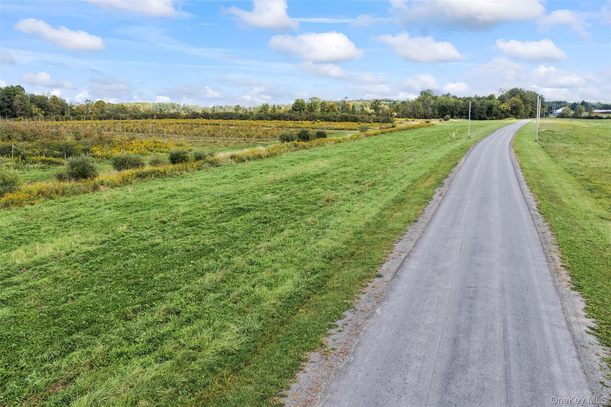 359 Cemetery Rd thumbnail 45