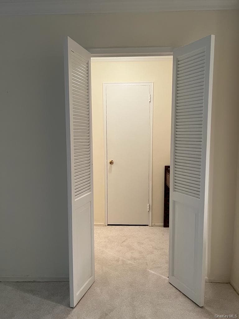 305 E 40 Street Street Unit: 4A thumbnail 9
