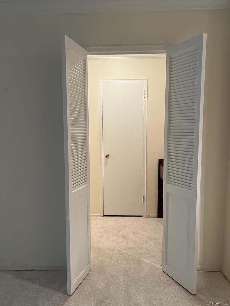 305 E 40 Street Street Unit: 4A thumbnail 16
