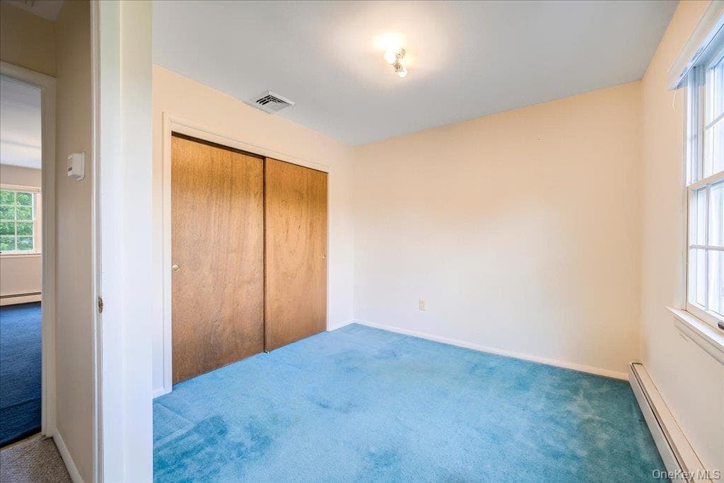 207 Butter Hill Drive thumbnail 9
